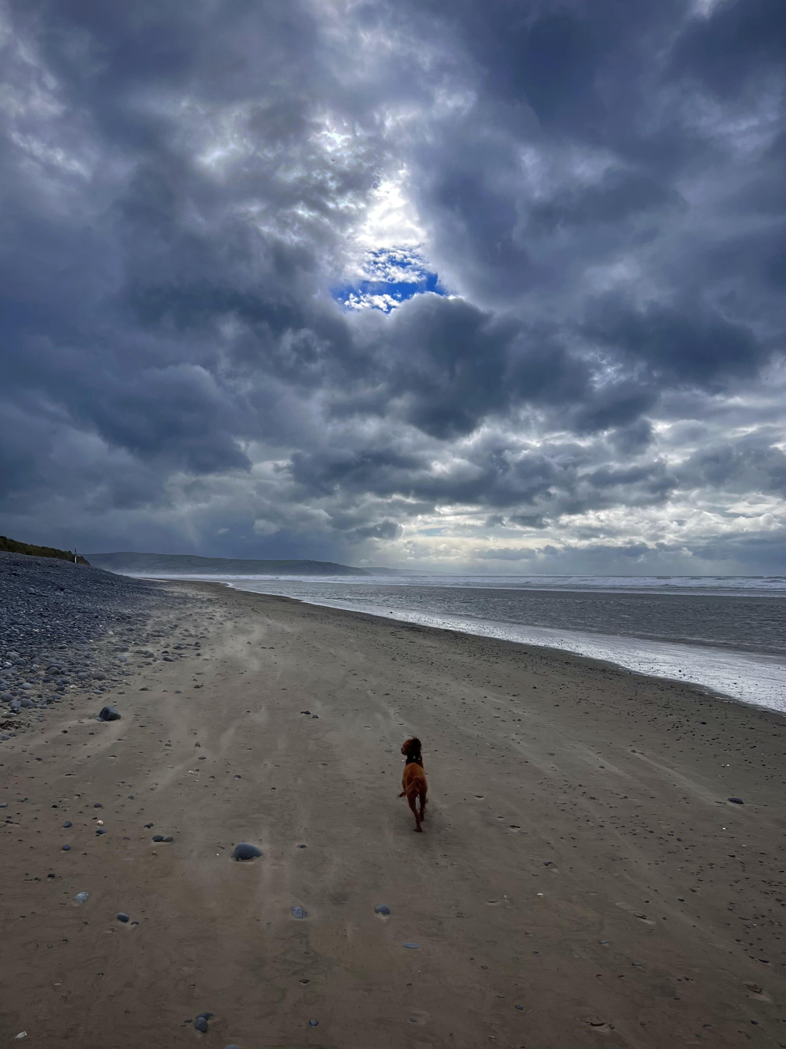 Small dog running away along a wide sandy beach with scattered pebbles, ocean on the right, distant shoreline on the left, and heavy dark clouds overhead with a small triangular patch of blue sky near the centre.