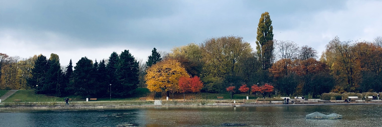 header profile