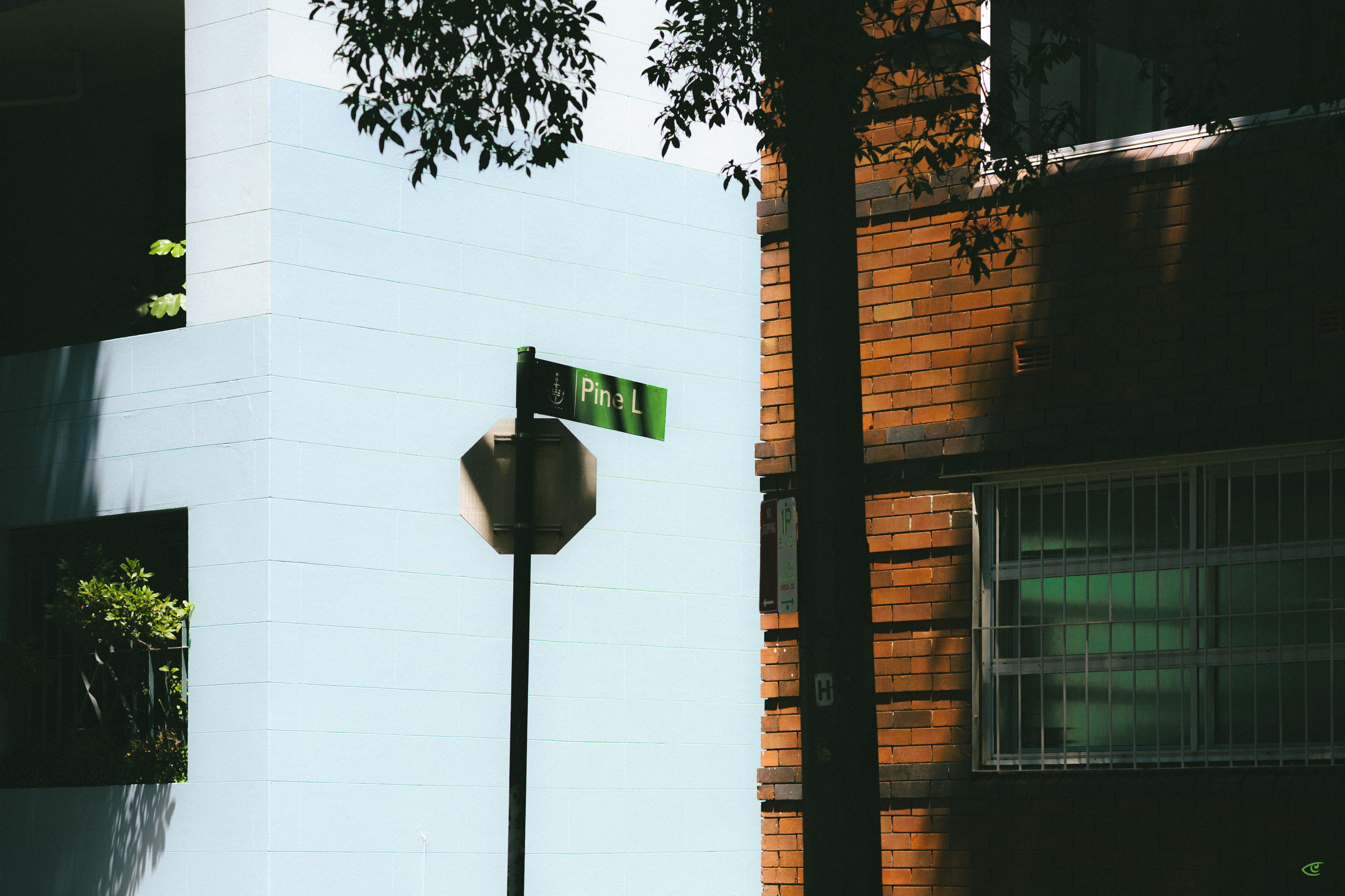Street corner with a green “Pine L” street sign on a pole in front of a pale building, next to a brick wall with a barred window; tree branches cast shadows across the scene.