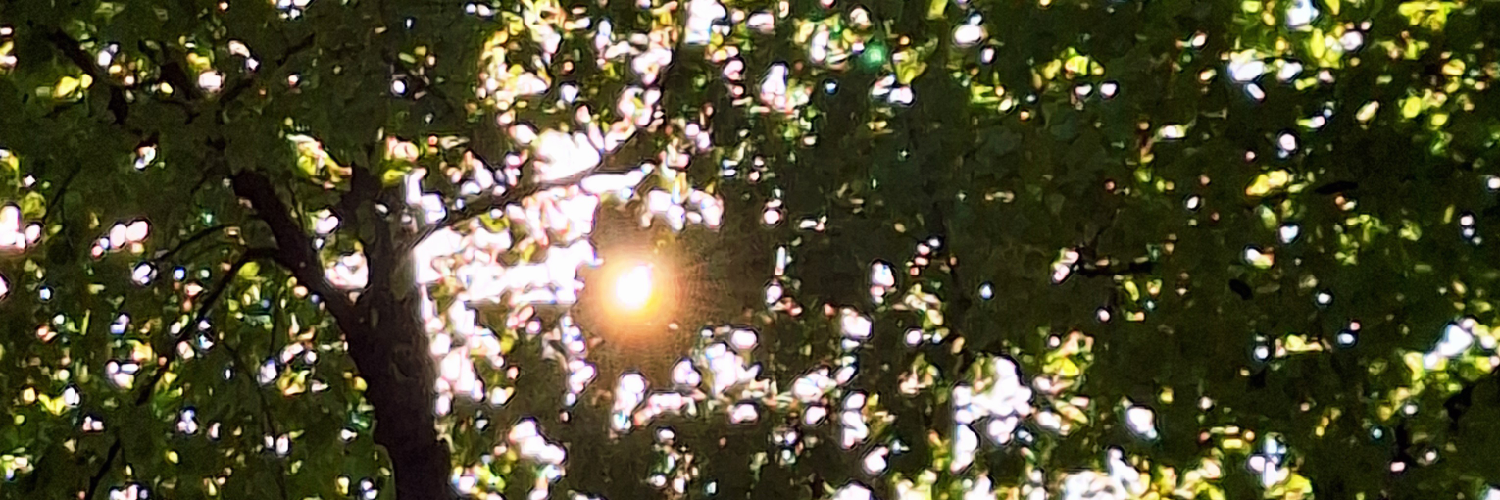 header profile