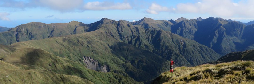 header profile