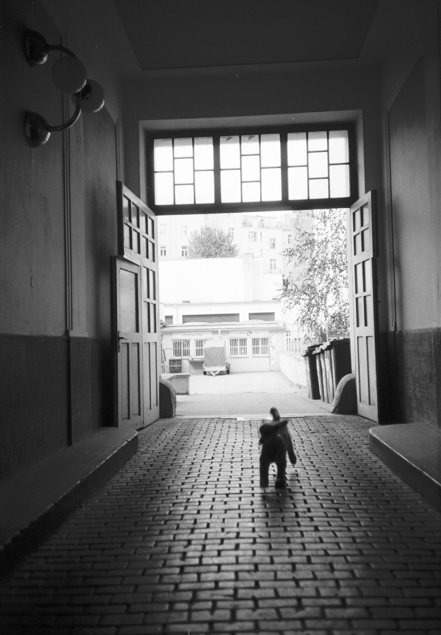 Black-and-white view down a brick-floored passageway toward an open double-door entrance with a row of window panes above; a small dog walks away from the camera toward the bright courtyard outside, with buildings and trees visible beyond the doorway.