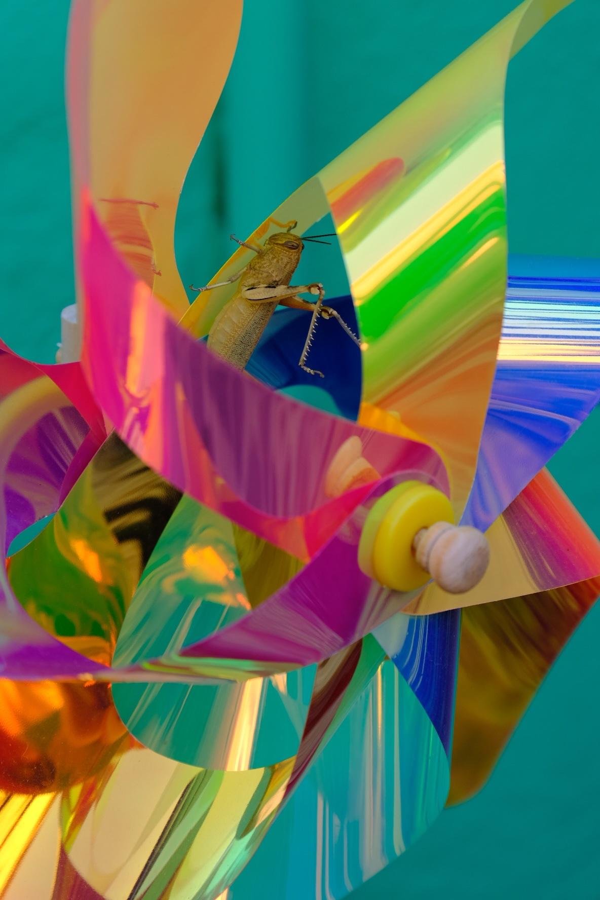 Close-up of a small brown grasshopper perched on the blade of a metallic, multicolored pinwheel, with reflective rainbow petals and a wooden hub against a teal background.