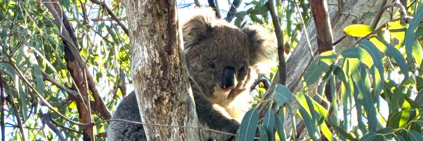 header profile