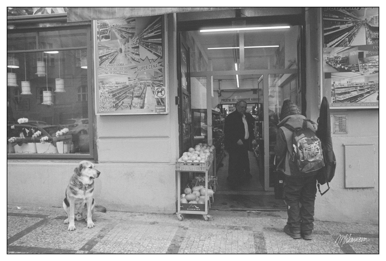 The image shows a black and white scene outside a shop entrance. There is a person with a backpack standing near the entrance and another person inside the store. A dog is sitting on the sidewalk to the left of the entrance. There are posters on the walls and fruits displayed in front of the shop. The ground is cobblestoned, indicating a possible urban setting.