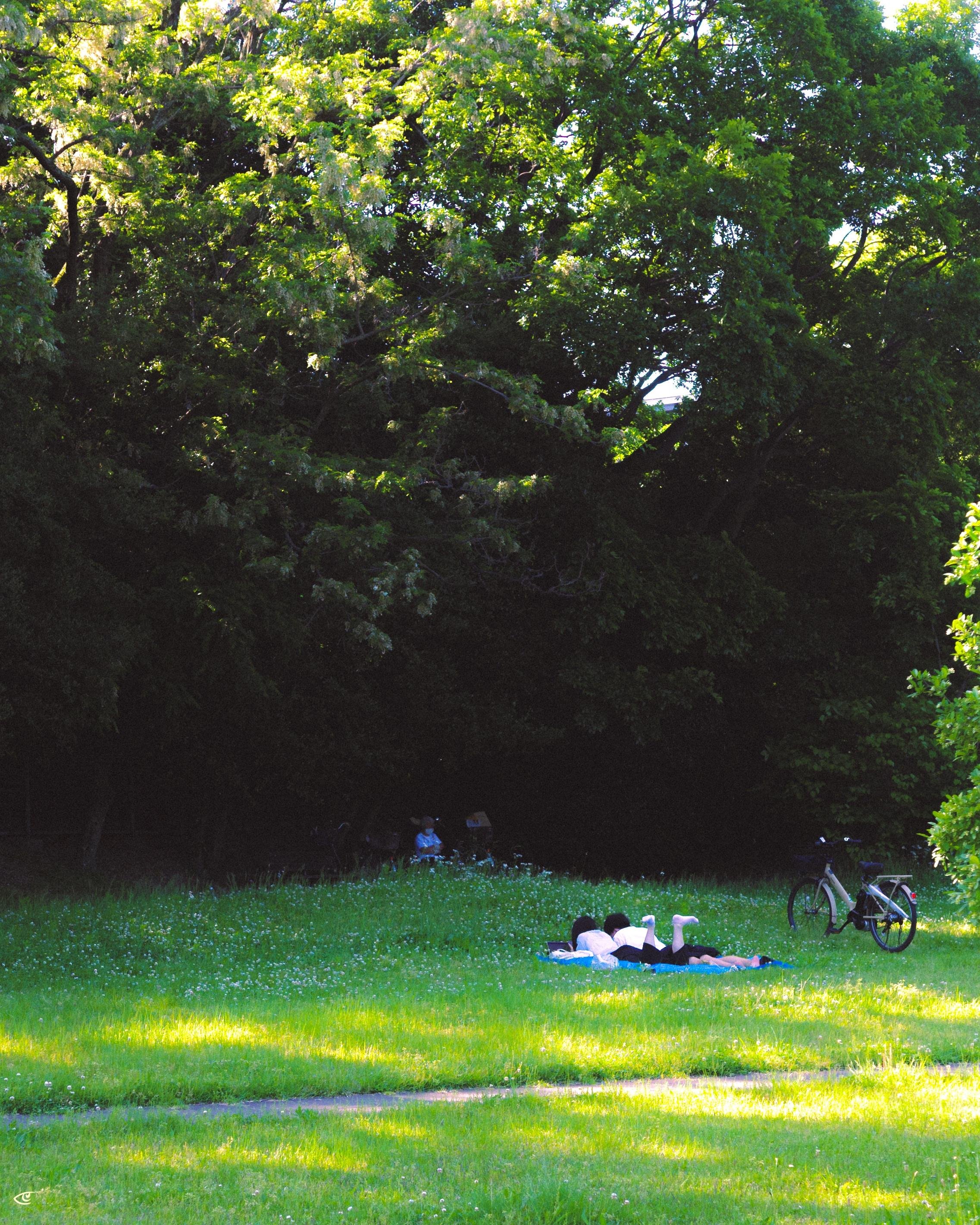 Two people lying on a blanket in a sunlit grassy park, with a bicycle parked nearby and dense leafy trees forming a shaded backdrop.