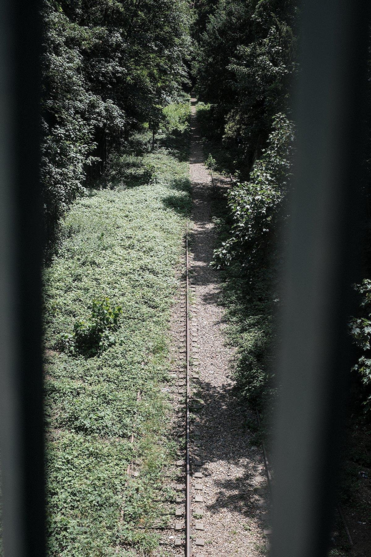 Photo verticale. Entre 2 barreaux verticaux, vue plongeante sur une voie ferrée inutilisée, comme en témoigne la végétation qui reprends le dessus.