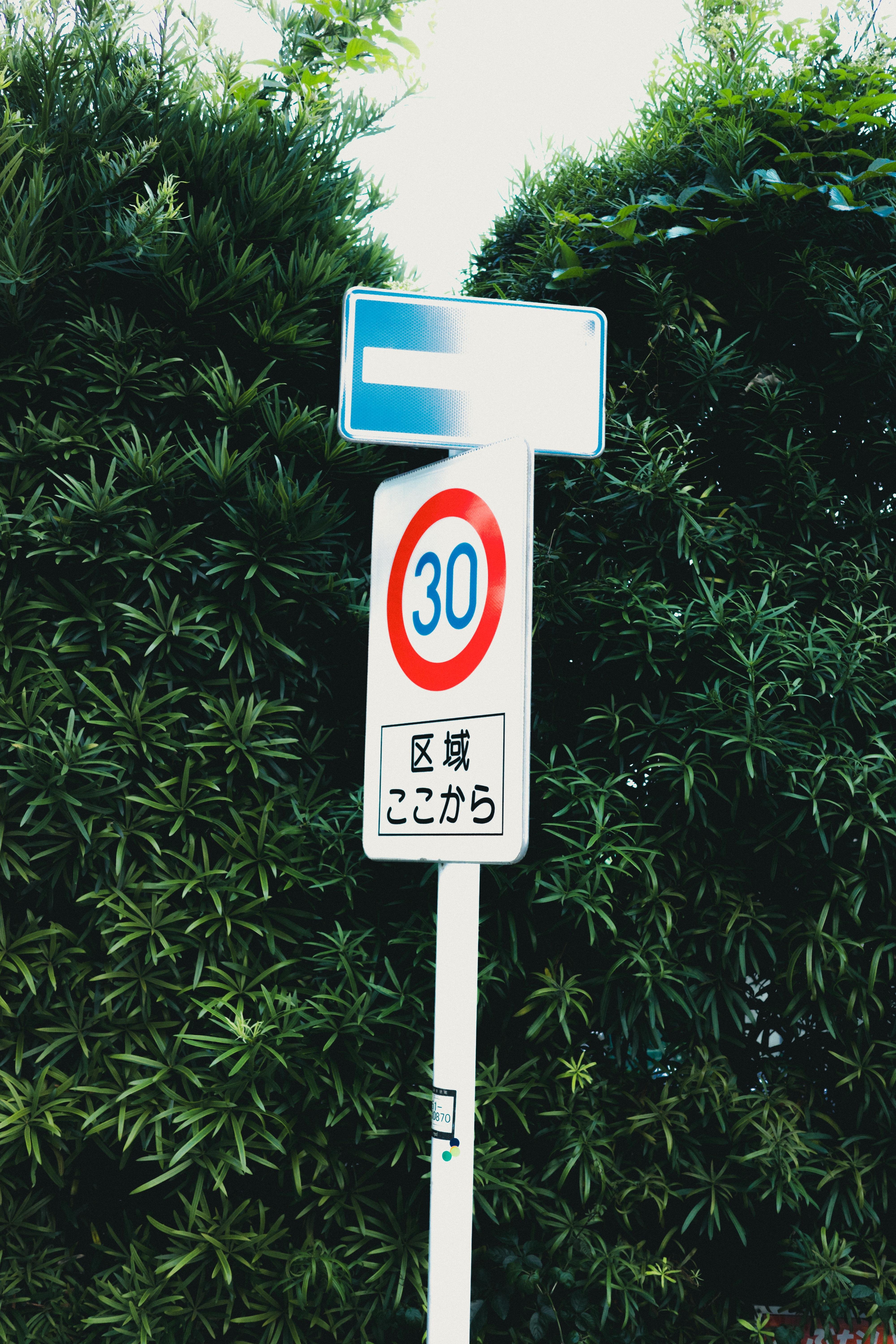 Traffic sign with a blue no-entry symbol and a circular red-bordered sign indicating a speed limit of 30. Below, Japanese text is displayed. The signpost is set against a backdrop of lush green foliage.