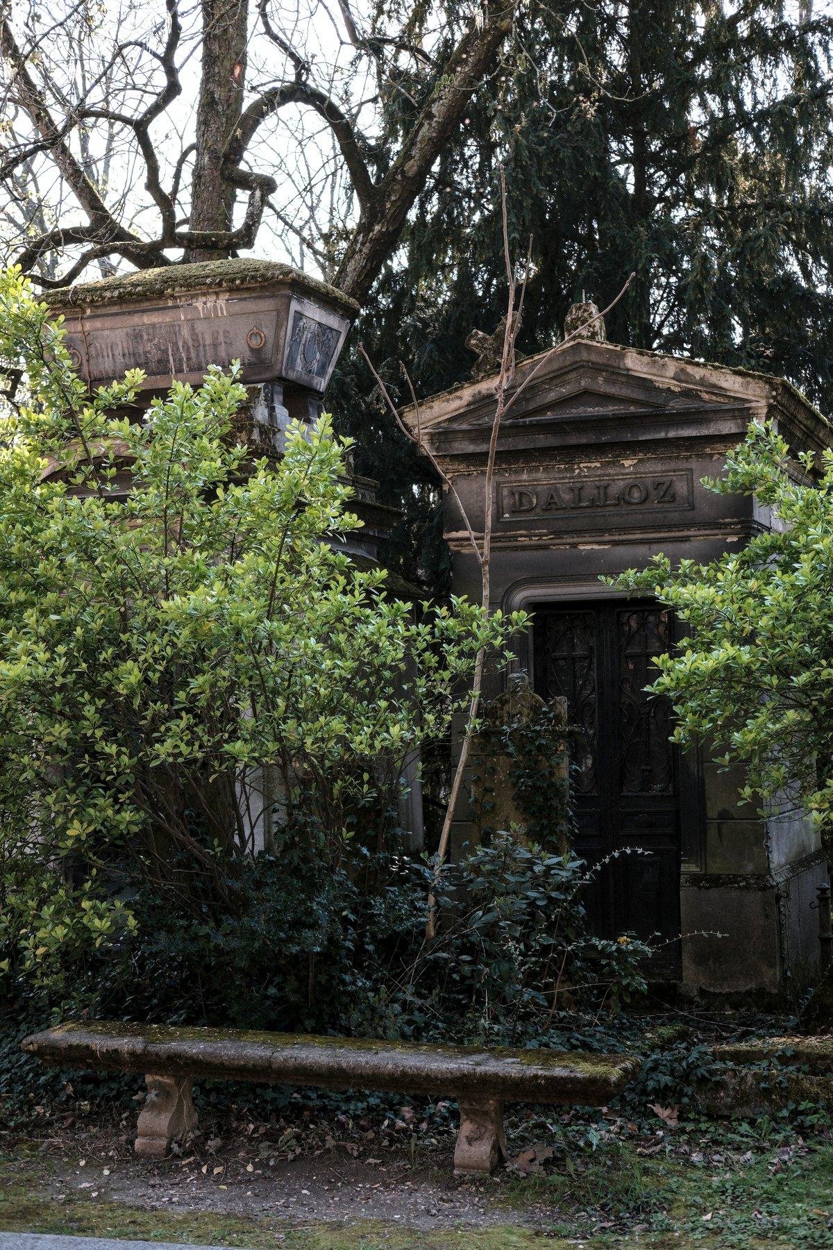 Photo verticale. Un mausolée ancien, avec un banc en pierre devant, couvert de lichen. De la vegetation commence à envahir l’espace entre le banc et le mausolée, et les feuilles des arbres commencent à être bien basses, près du banc. De vieux arbres noueux sont derrières le mausolée