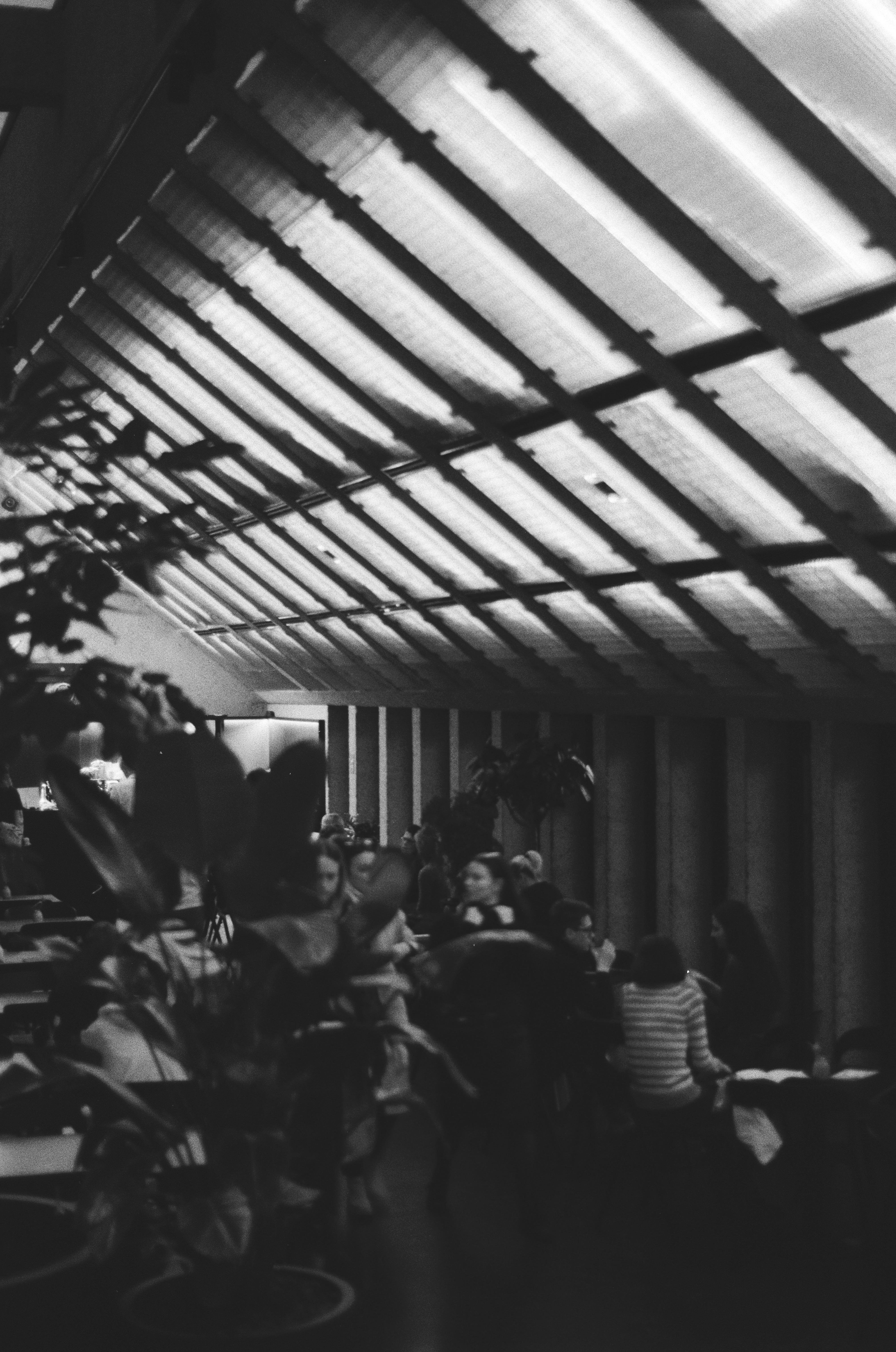 The image shows a black and white scene of an interior space with people gathered in what appears to be a cafe or a similar public setting. There are tables and chairs, and the ceiling has a distinctive pattern with slats or beams. Some potted plants are visible in the foreground. The lighting seems to be coming from above, creating a bright contrast with the darker interior.