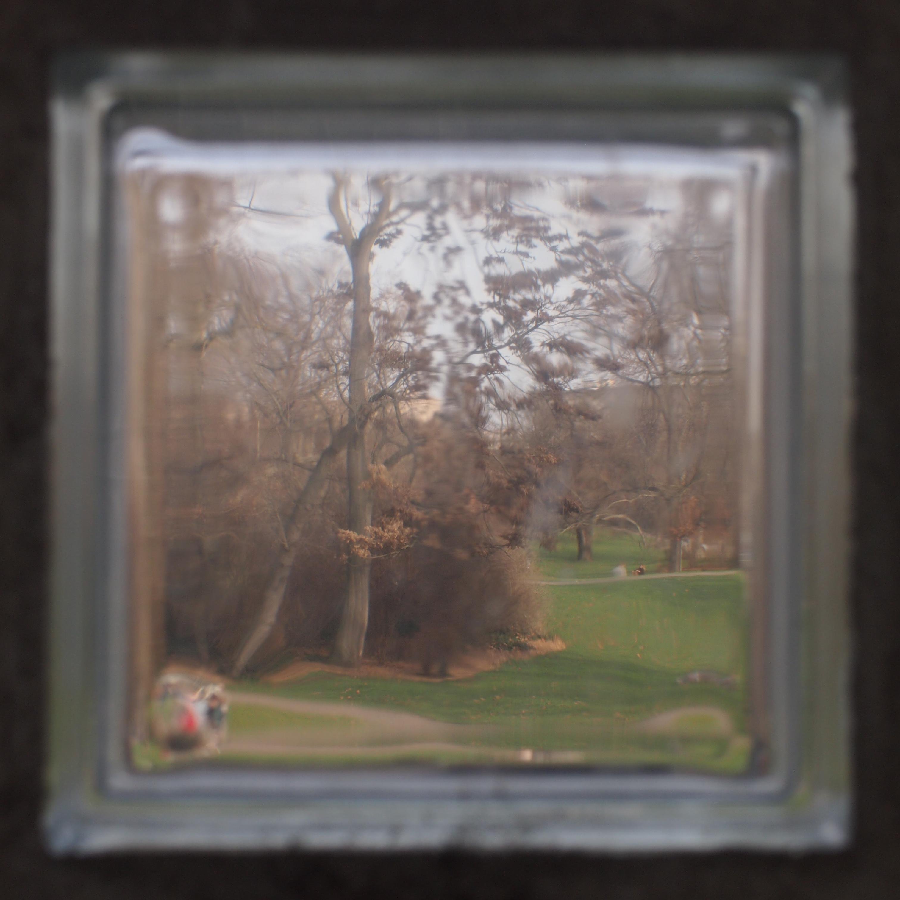Quadratisches Foto.
Blick durch einen (auch quadratischen) Glasbaustein auf einen Park mit braunen Bäumen und Büschen, darunter grüner Wiese.
Die in der linken unteren Ecke sitzenden Menschen verschwimmen durch die Krümmung des Glasbausteins.
Am Rand des Bildes erscheint noch unscharf das Material, welches den Baustein umgibt.