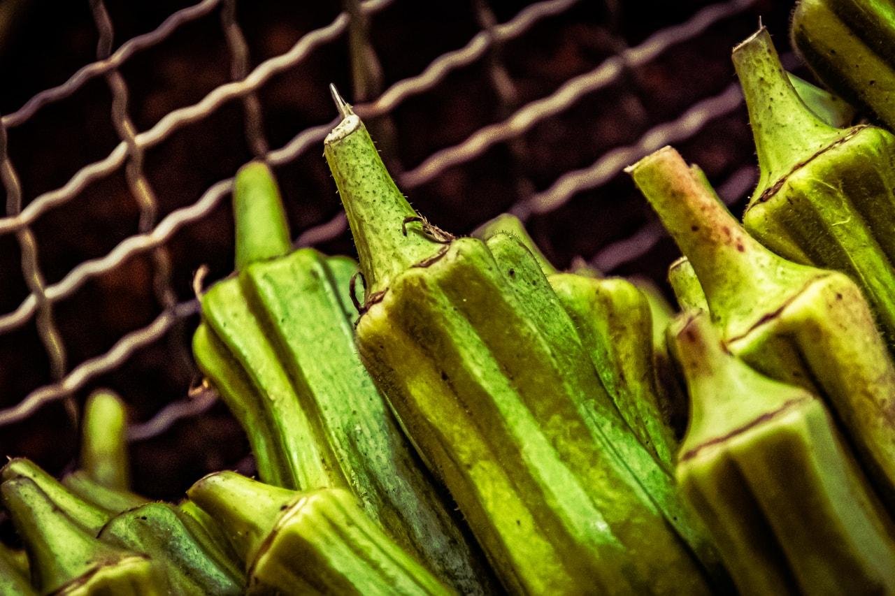 Green okra pods with pointed tips, closely arranged in the foreground with a metal wire mesh in the background. The pods display a textured surface with natural ridges, and the lighting highlights their green hues against the blurred mesh.