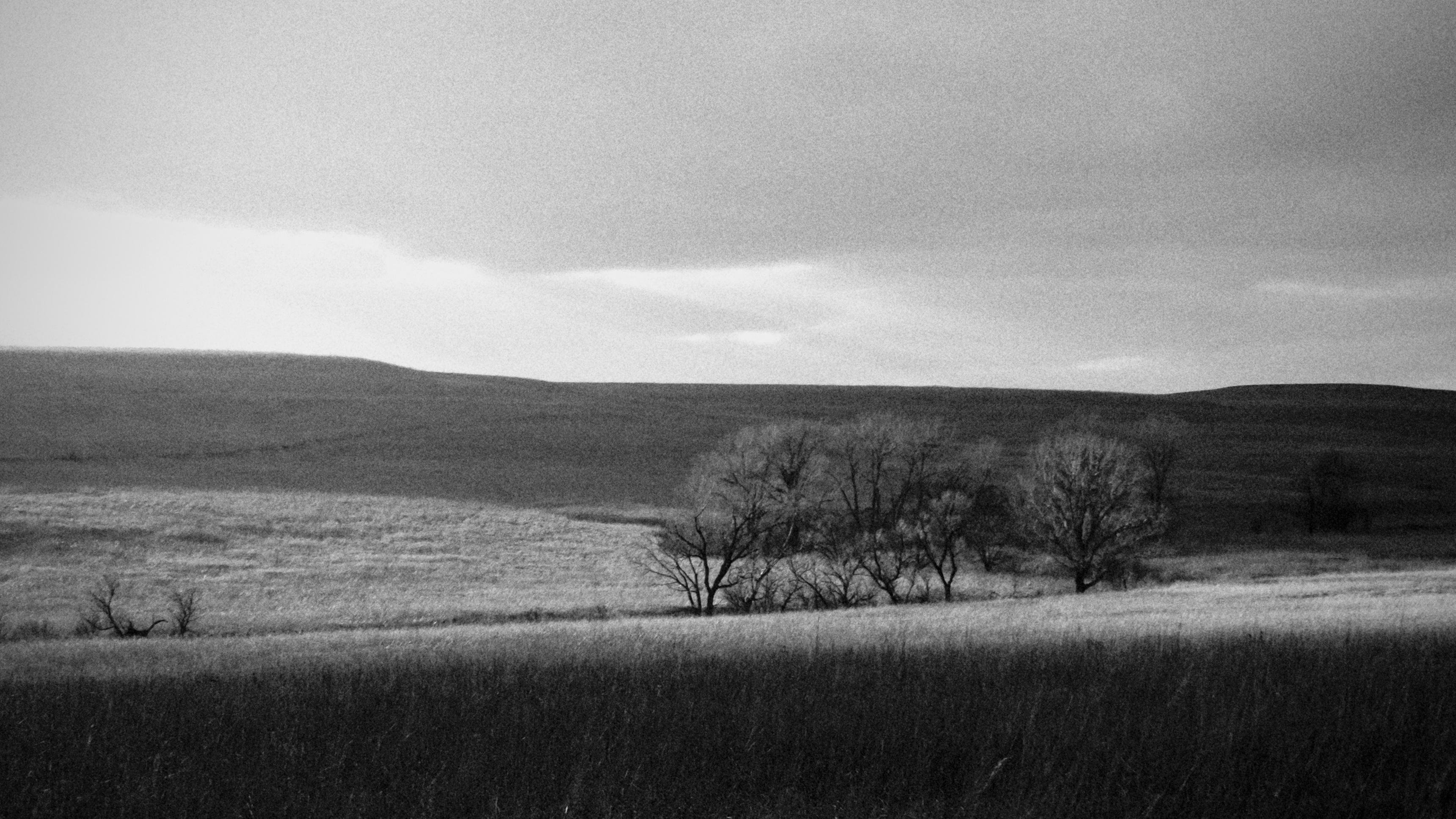 Black-and-white landscape with tall grass in the foreground, a small cluster of leafless trees near the center-right, rolling hills in the background, and a cloudy sky filling the upper half of the frame.