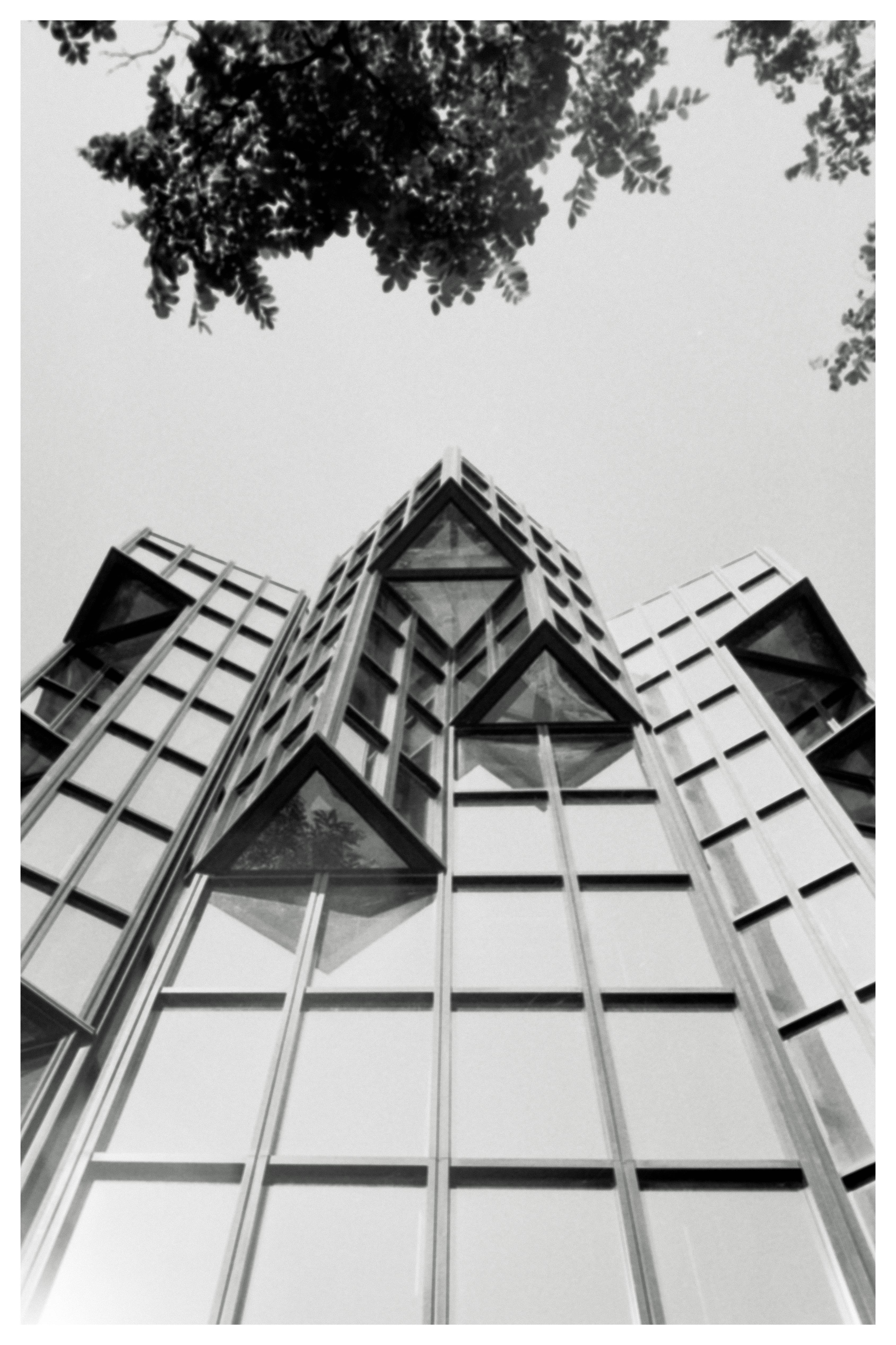 Black and white photograph of a modern glass building taken from a low angle, featuring a series of symmetrical, protruding triangular windows. The building's facade reflects the surroundings, while tree branches frame the top of the image.