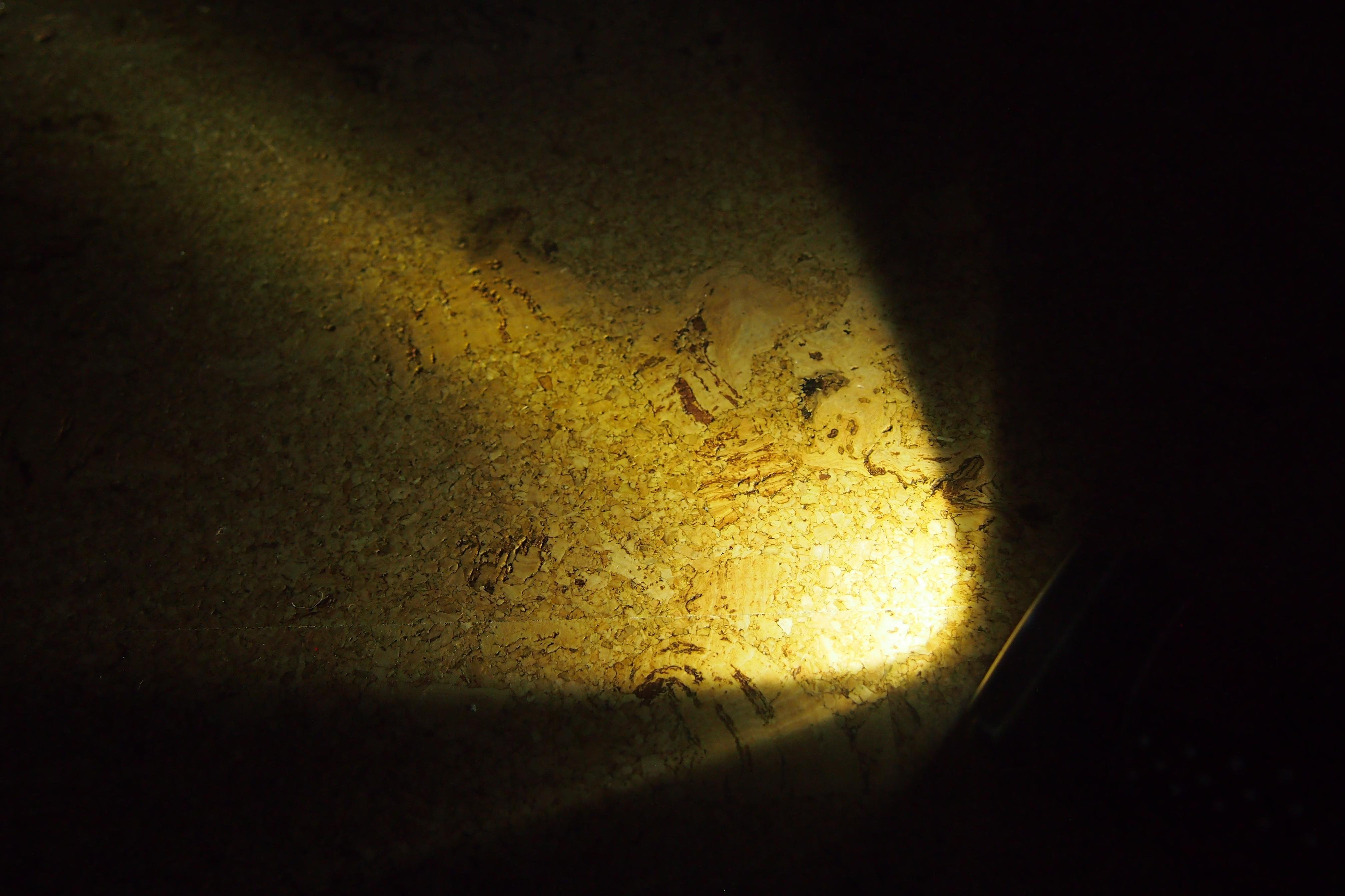 Foto im Querformat.
In der rechten unteren Ecke liegt eine Taschenlampe auf dem Boden. Der Lichtkegel breitet sich nach oben links aus und bescheint den Korkfußboden unterschiedlich stark. Der Rand des Lichtkegels bildet eine Parabel.