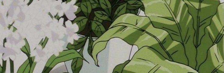 header profile