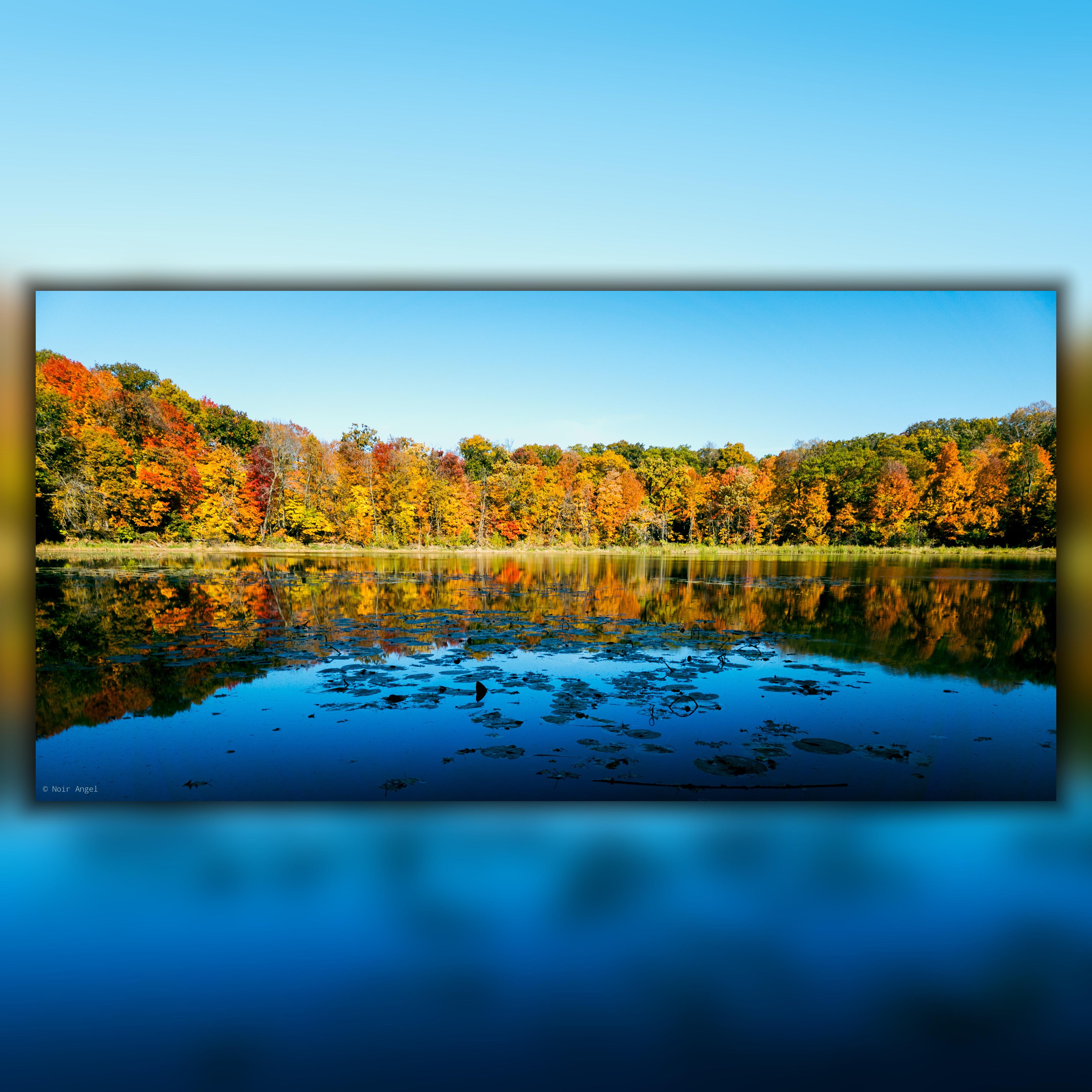 Autumn forest with vibrant red, orange, and yellow foliage surrounding a calm lake. The trees and vivid sky are mirrored in the water, which is dotted with floating leaves and vegetation.