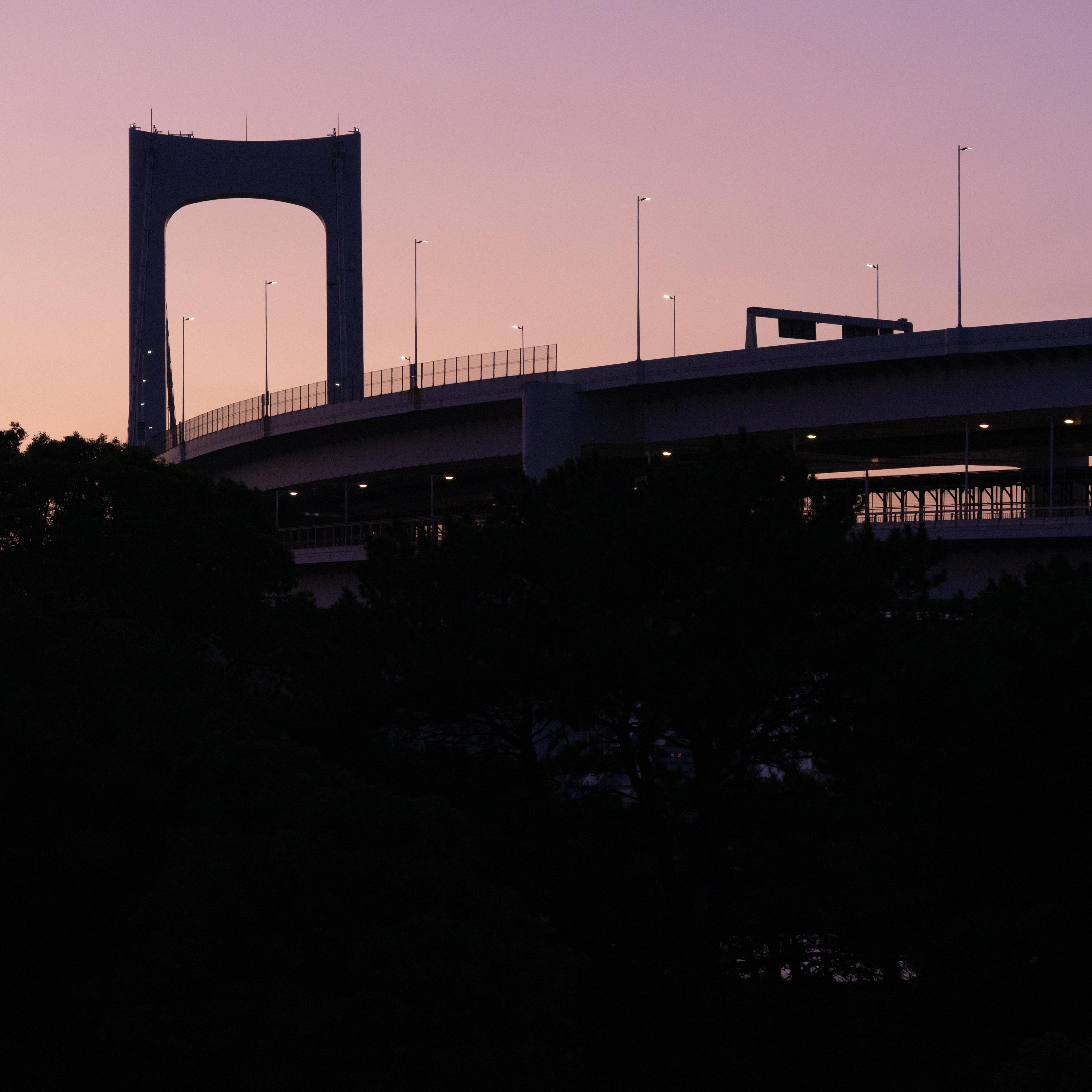 Bridge silhouetted against a purple sky during sunset, with illuminated streetlights lining the structure. Dark trees appear in the foreground, enhancing the contrast between the shadows and the evening sky.