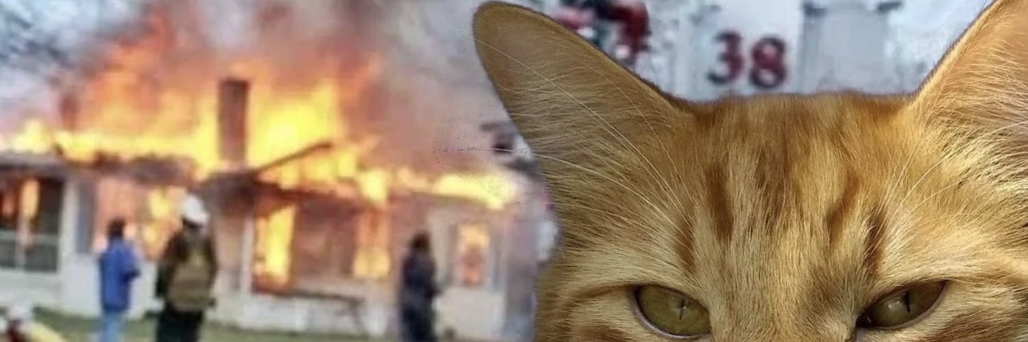 header profile