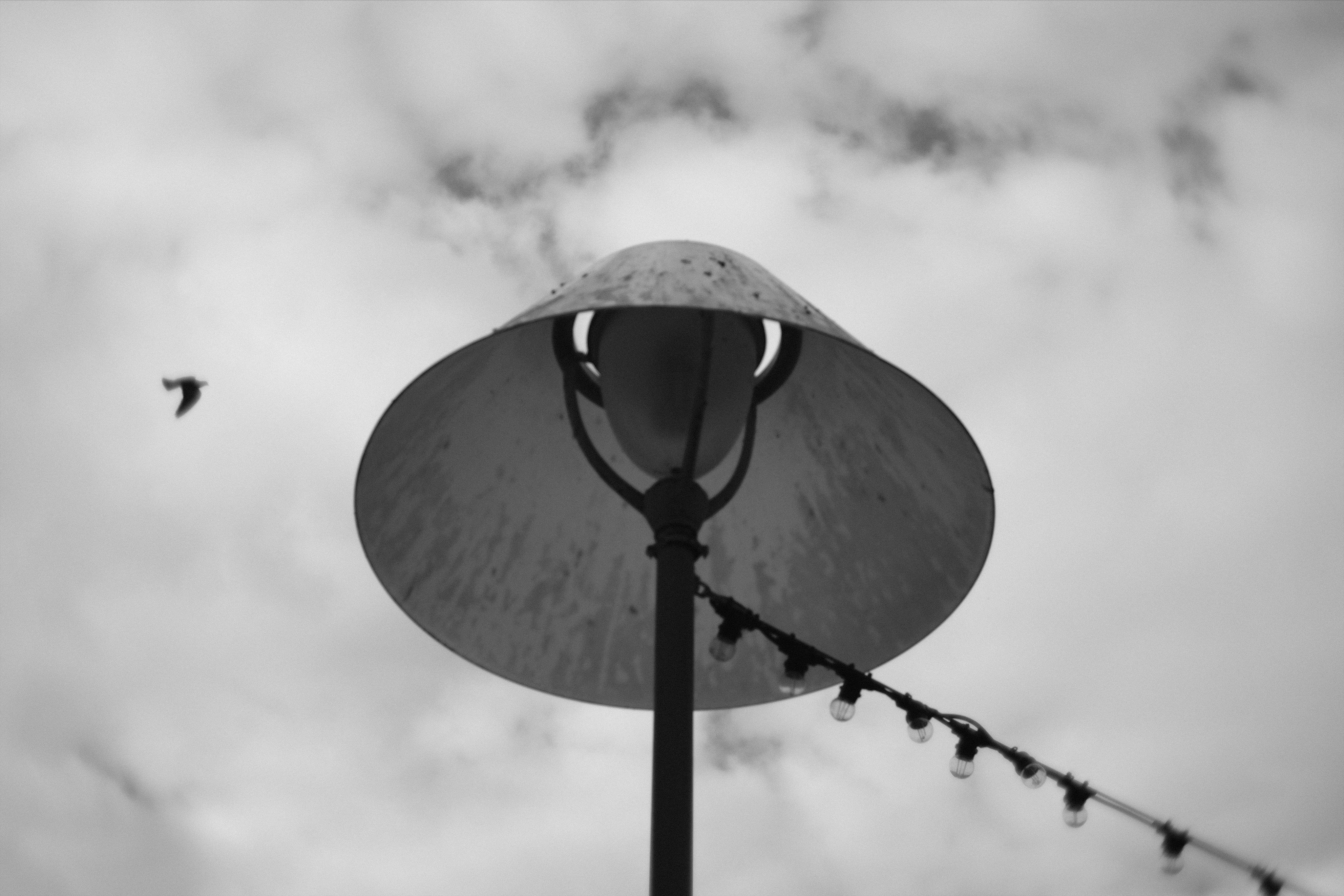 Upward view of a streetlamp with a wide metal shade against a cloudy sky, with a diagonal string of small bulb lights and a bird silhouette on the left.