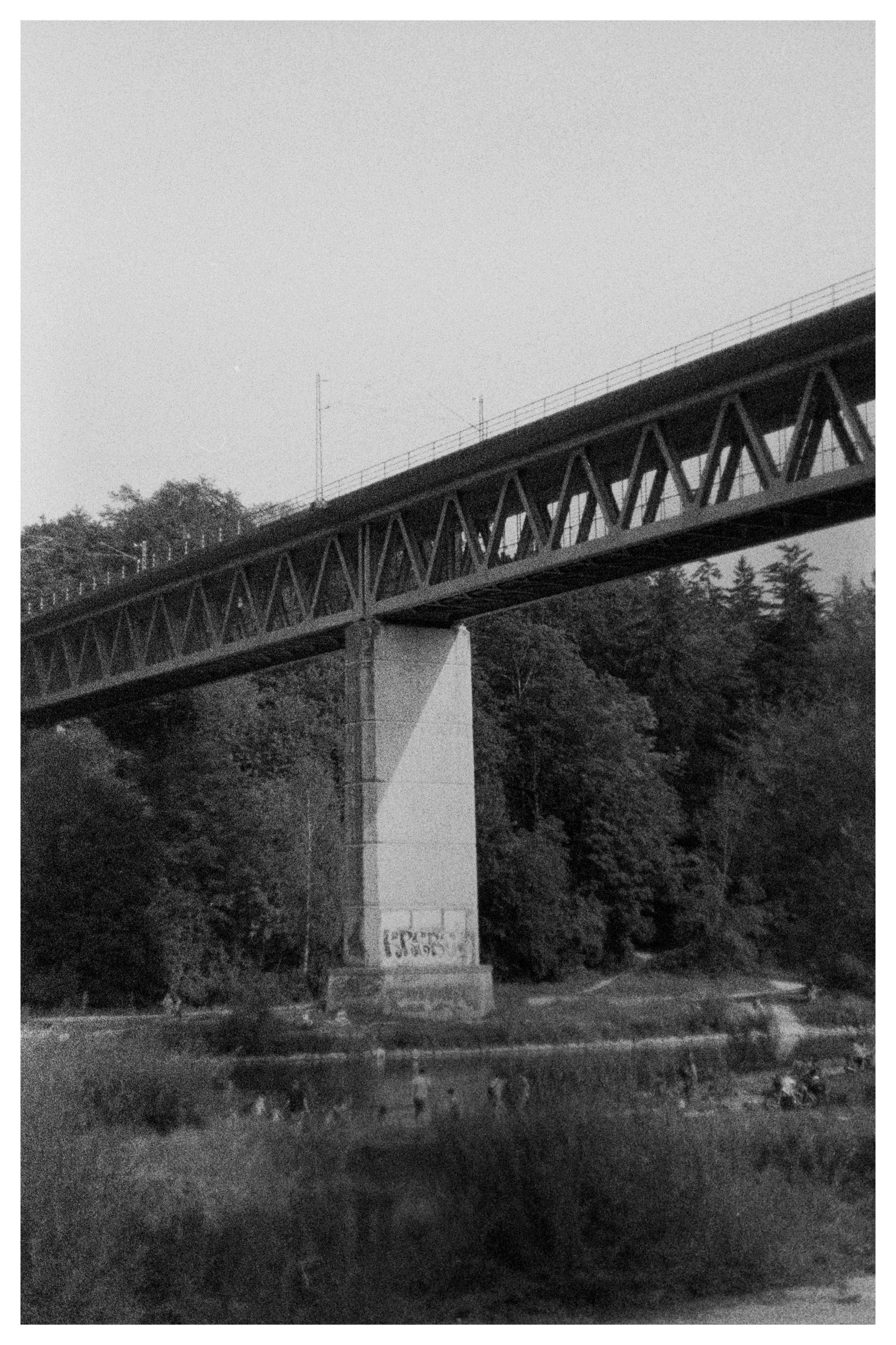 Black and white photo of a steel railway bridge supported by a concrete pillar, crossing over a dense forest area. The bridge features a truss design and has graffiti on the concrete base. Tree foliage surrounds the area beneath the bridge.