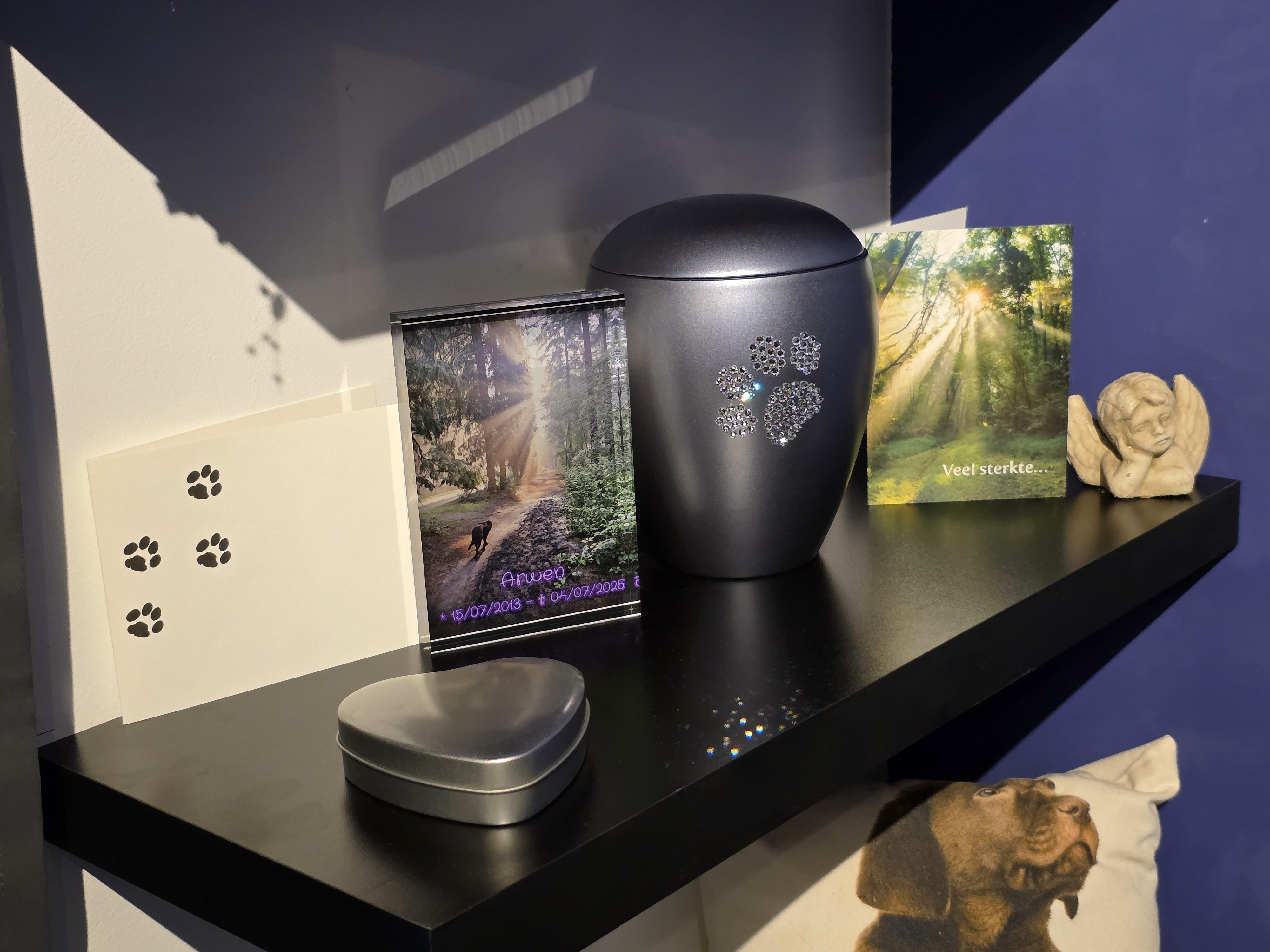 A black shelf against a white wall, with a purple wall to the right side... The shelf is a memorial for my recently departed Labrador gall. From left to right, there are a white sympathy card with some black pawprints, the acrylic frame with Arwen walking towards rays of sunshine, her urn, which is grey/black with a silver glare on it, and it has a shiny pawprint, then another sympathy card, and a little stone statue of an angel.