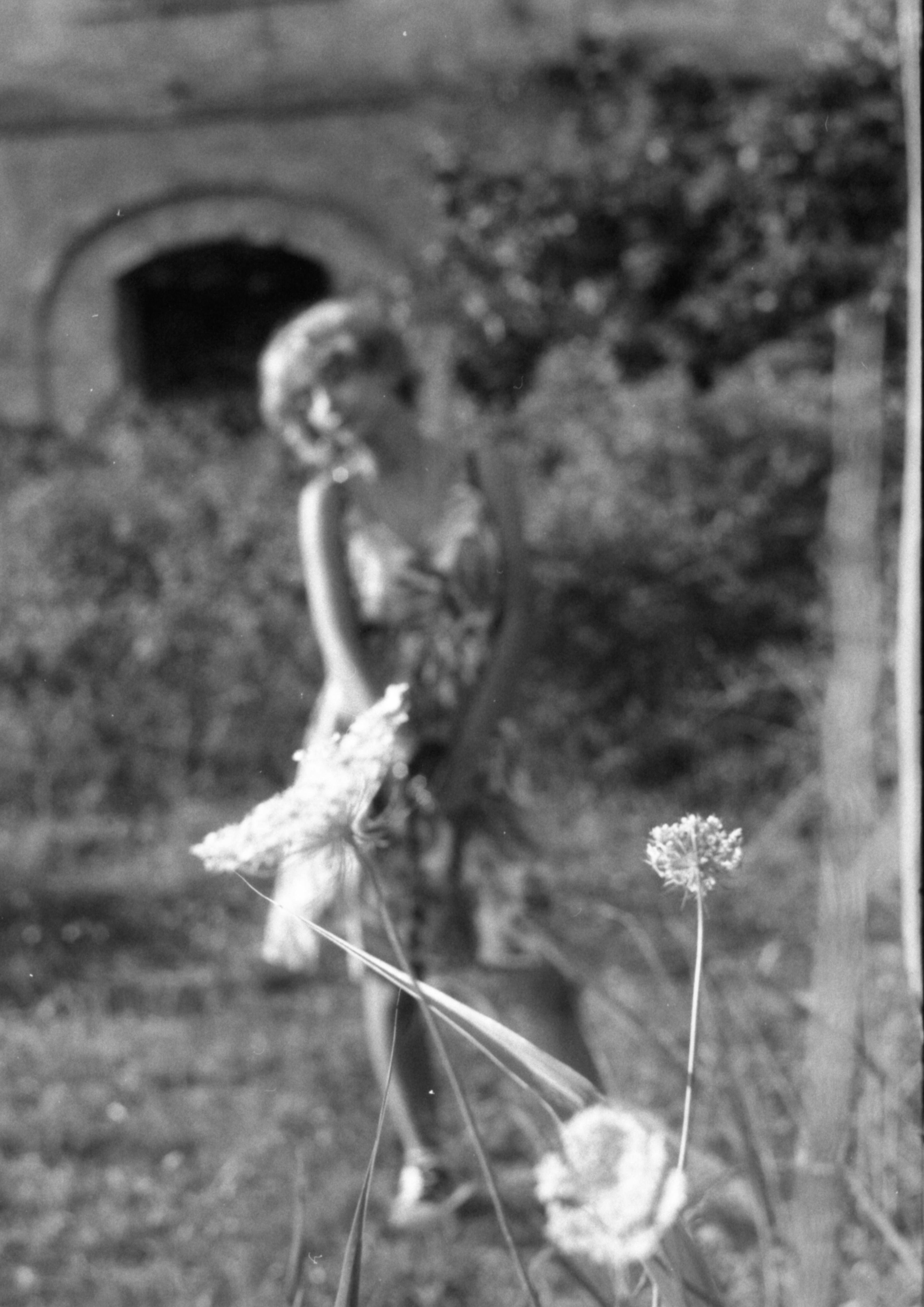 a blurred monochrome of a girl behind a dry flower in a open natural space behind her a building