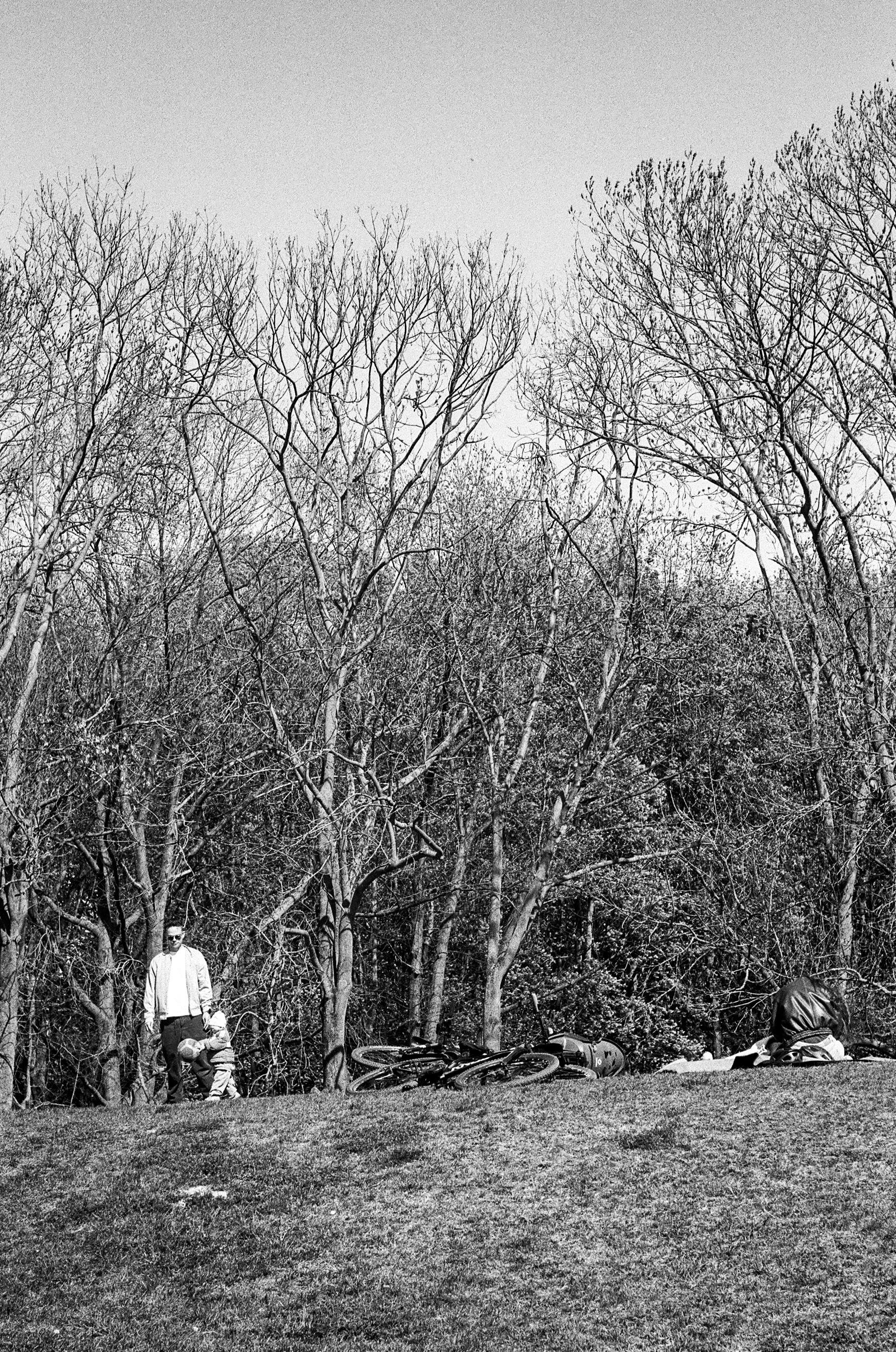 B&W photo of a man and a child spending time together in a park. Next to them there is a bicycle and another person sitting onthe ground