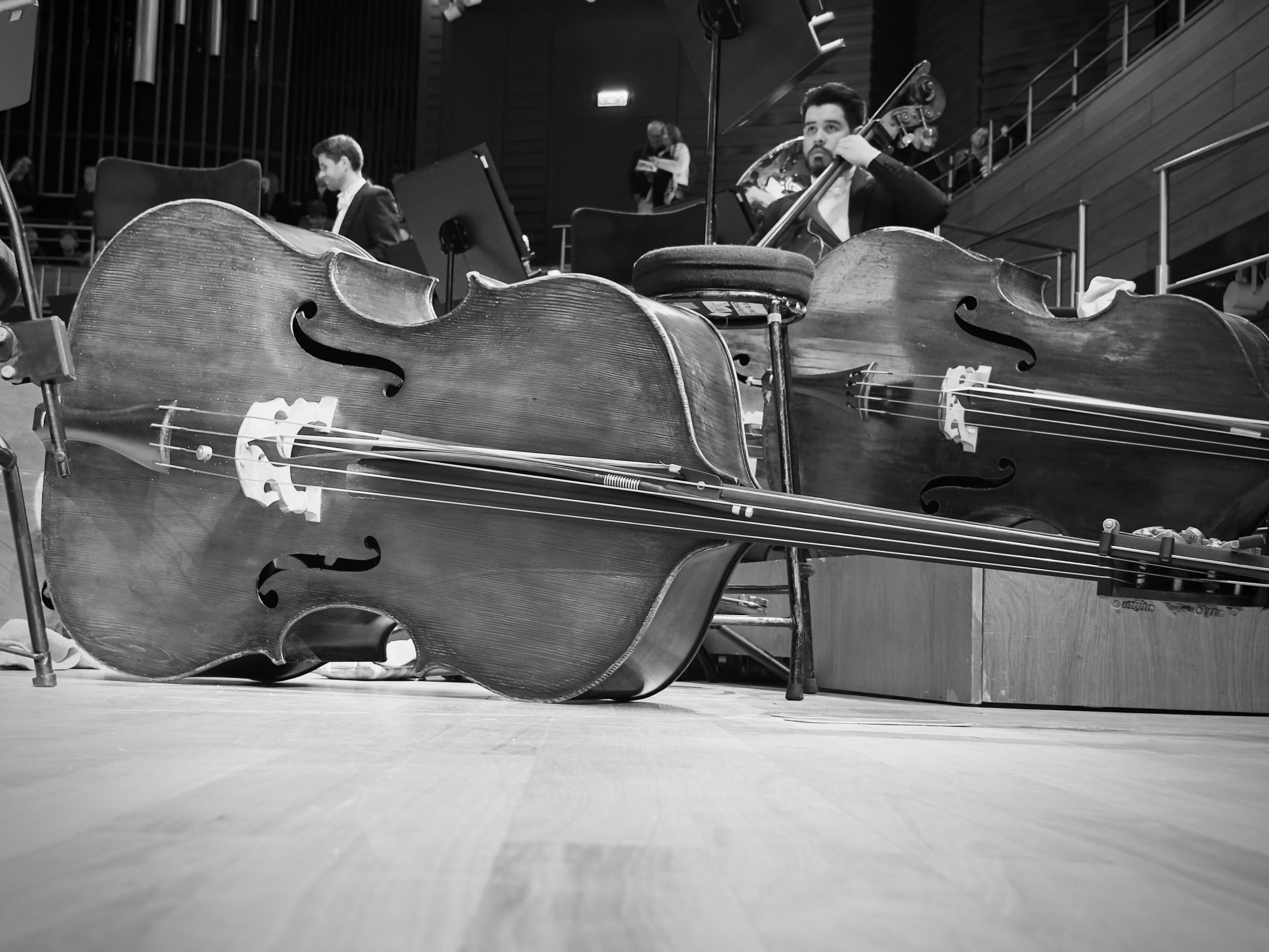 The image shows a black and white photograph of cellos laid on their sides on a stage floor. In the background, a musician is seen sitting and holding a cello, possibly preparing for or during a performance in an orchestral setting. The environment suggests a concert hall with other musicians and musical instruments present.