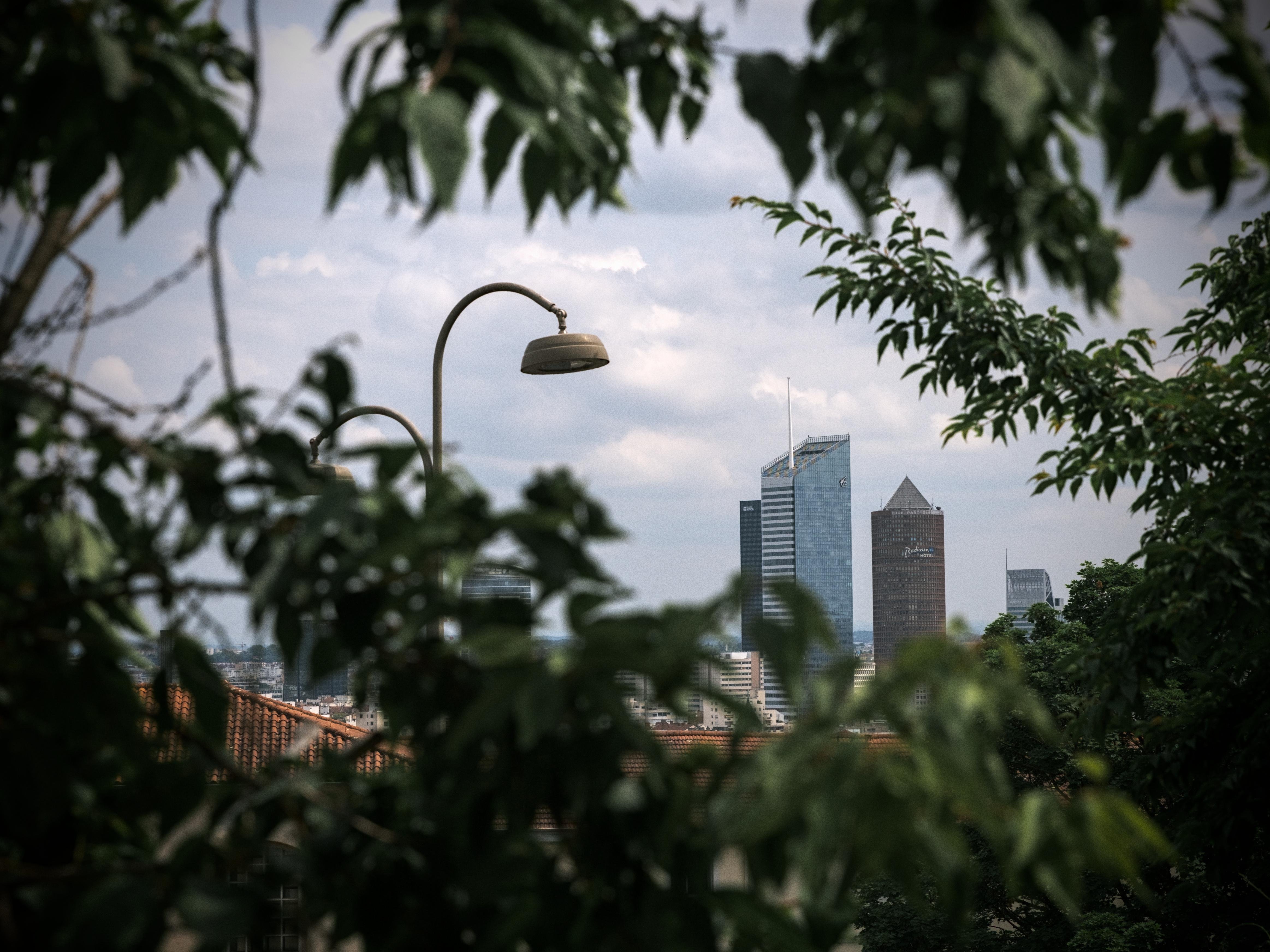 A view of the Lyon business district buildings from afar. Vegetation is surrounding the entire picture, with the buildings only partially (but distinctly) visible in the distance, on the bottom right-hand side of the frame. A lamp post is also visible on the left-hand side, which appears bigger than the buildings due to perspective. Since neither the bottom of the post or the bottom of the buildings is visible, the scene appears as though nature is reclaiming the city. This is further emphasised by the green, film-like tones, grain, and vignetting.