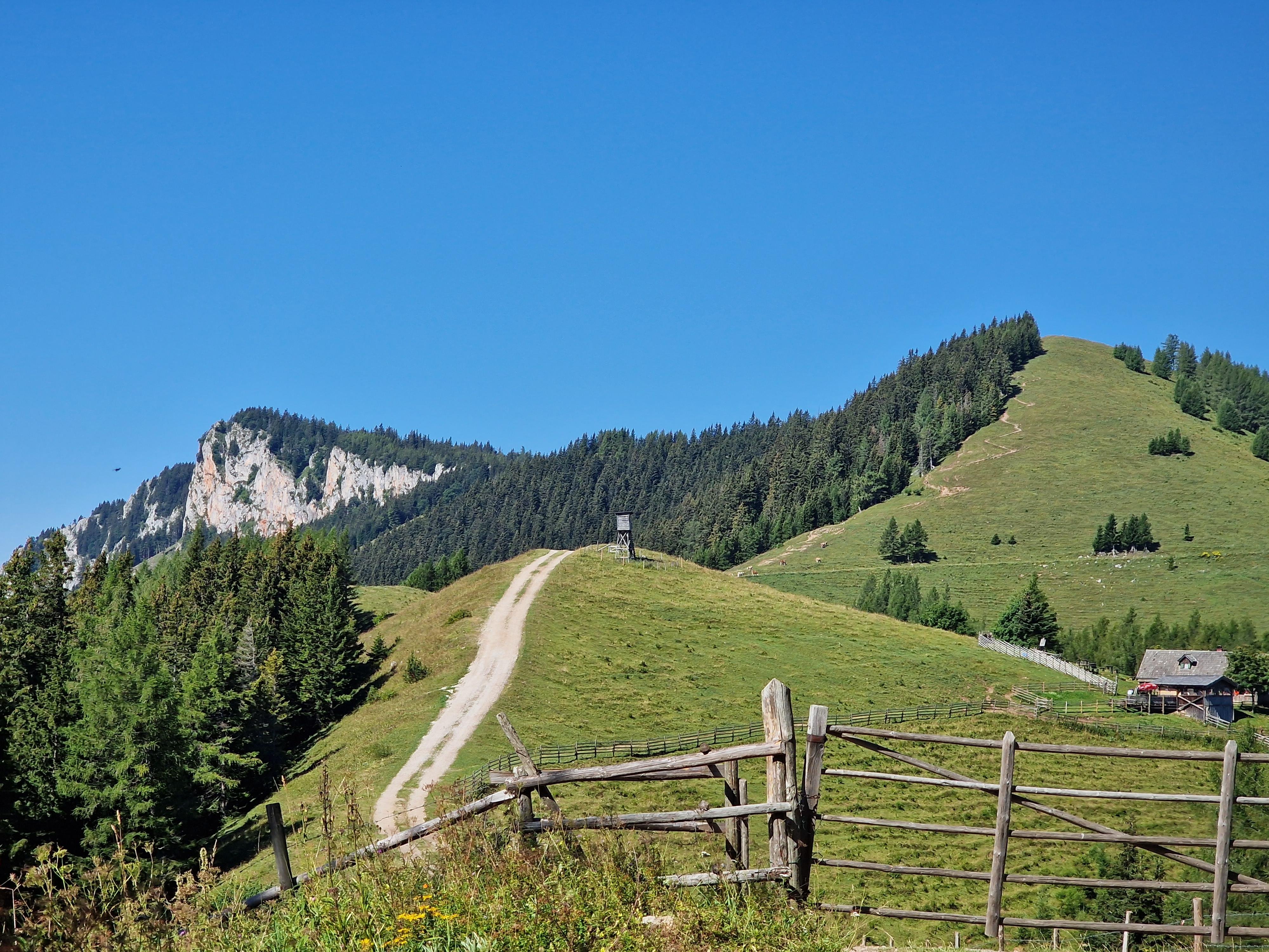 This photograph captures a breathtaking summer day in the Styrian Almenland, specifically the path leading toward the Rote Wand in Steiermark, Austria.

In the foreground, a rustic, weathered wooden fence adds a charming alpine touch, partially framing a dirt hiking path that winds gracefully up a vibrant green, grassy hill. To the right, a traditional wooden alpine hut sits nestled on the slope, surrounded by smaller fenced enclosures. The middle ground is dominated by a lush, dark evergreen forest that blankets the undulating terrain.

The background features the impressive limestone massif of the Rote Wand, which reaches an elevation of 1,505 meters. Its name, meaning "Red Wall," is derived from the distinct reddish tint of its massive rock face. This area is a popular destination for hikers and nature lovers, frequently offering sightings of Alpine ibex (Steinböcke) grazing along the steep, craggy slopes. Above it all, the sky is a brilliant, cloudless deep blue, emphasizing the crisp mountain air and the serene beauty of the Austrian Alps.
