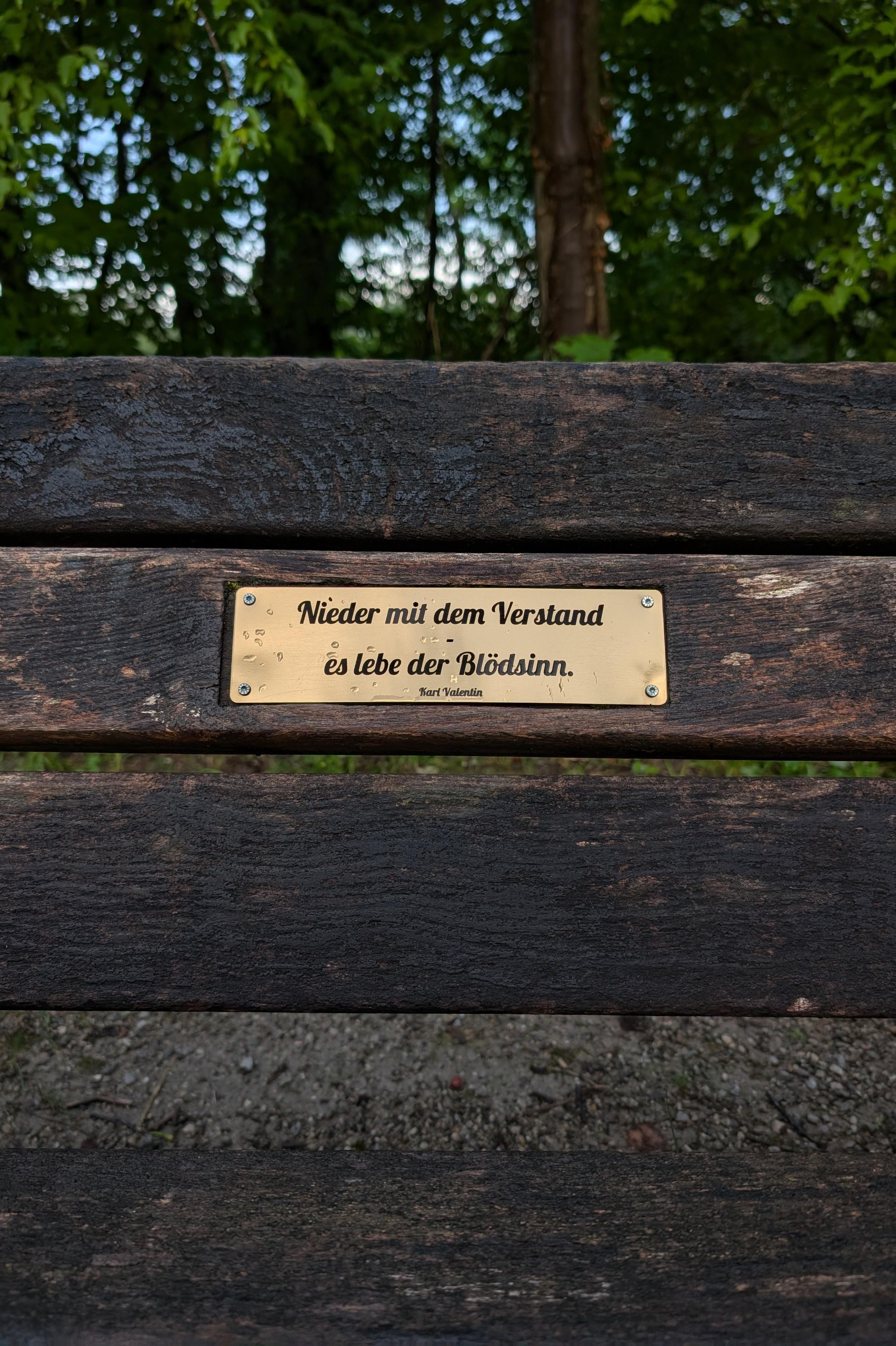 Wooden bench with a brass plaque attached to the slats. The plaque has an engraved text in German, "Nieder mit dem Verstand, es lebe der Blödsinn," attributed to Karl Valentin. Raindrops are visible on the plaque. Dense green foliage and tree trunks are in the background.