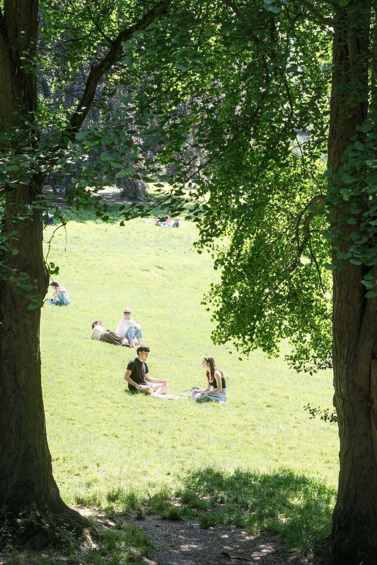 Photo verticale. Au premier plan, de chaque côté, une moitié de tronc d’arbre qui cadre un homme et une femme assis dans la pelouse, face à face, de profil. Derrière, un autre couple installé dans l’herbe et encore après, une personne assise dans la pelouse tournée vers la gauche
