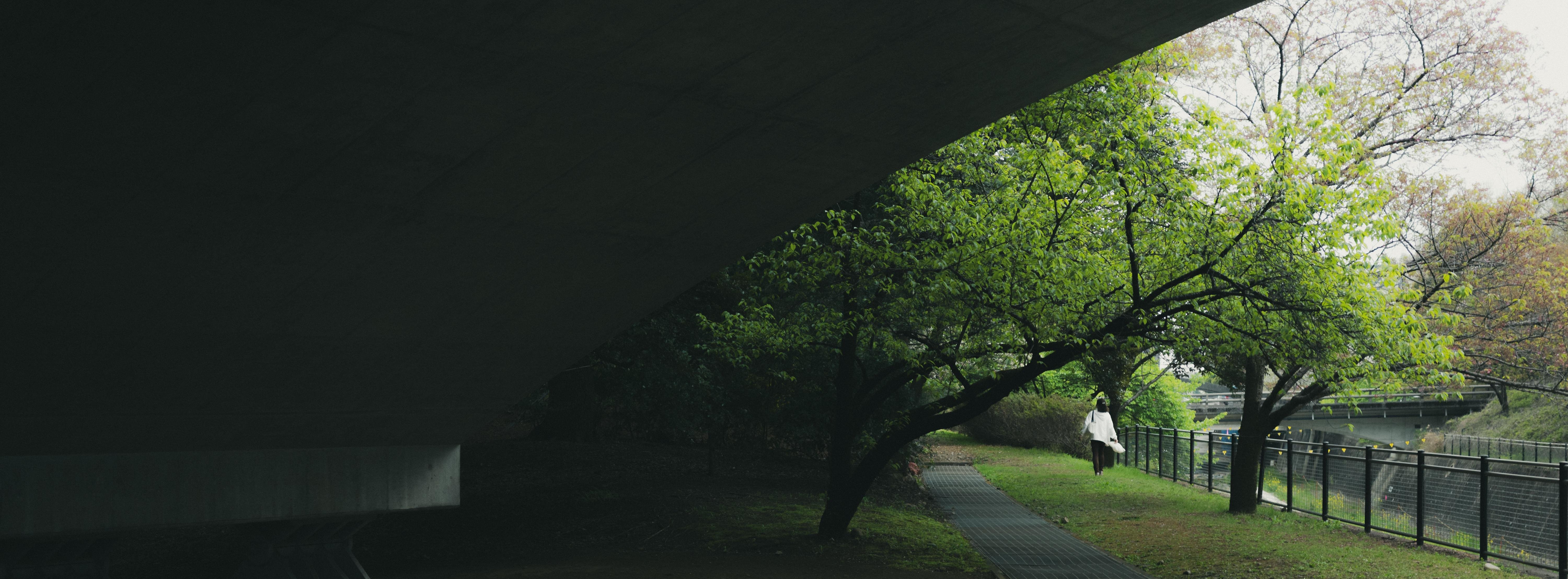 Under a large concrete overpass, a person wearing a white coat walks along a narrow pathway lined with grass. On the right, a railing separates the path from a slope leading down to a river. Lush green trees with dense foliage form a canopy over the path, providing partial shade. In the distance, more trees are visible, suggesting a park-like setting.