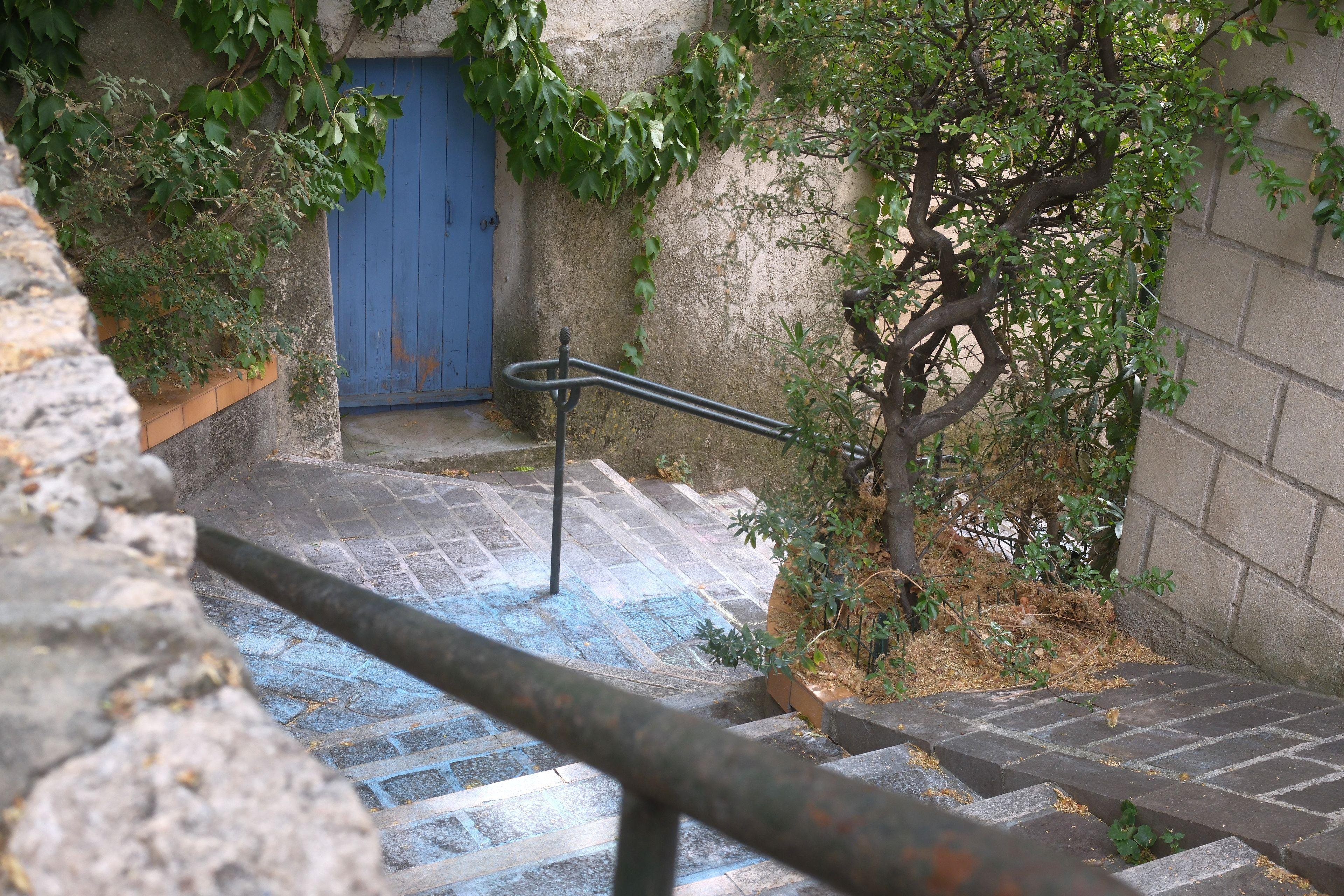 Photo format paysage montrant le palier d’un escalier de rue, arrivant depuis la droite et tournant à 90 degrés vers la caméra. Une porte bleu dans un mur entouré de vigne verte est sur le palier