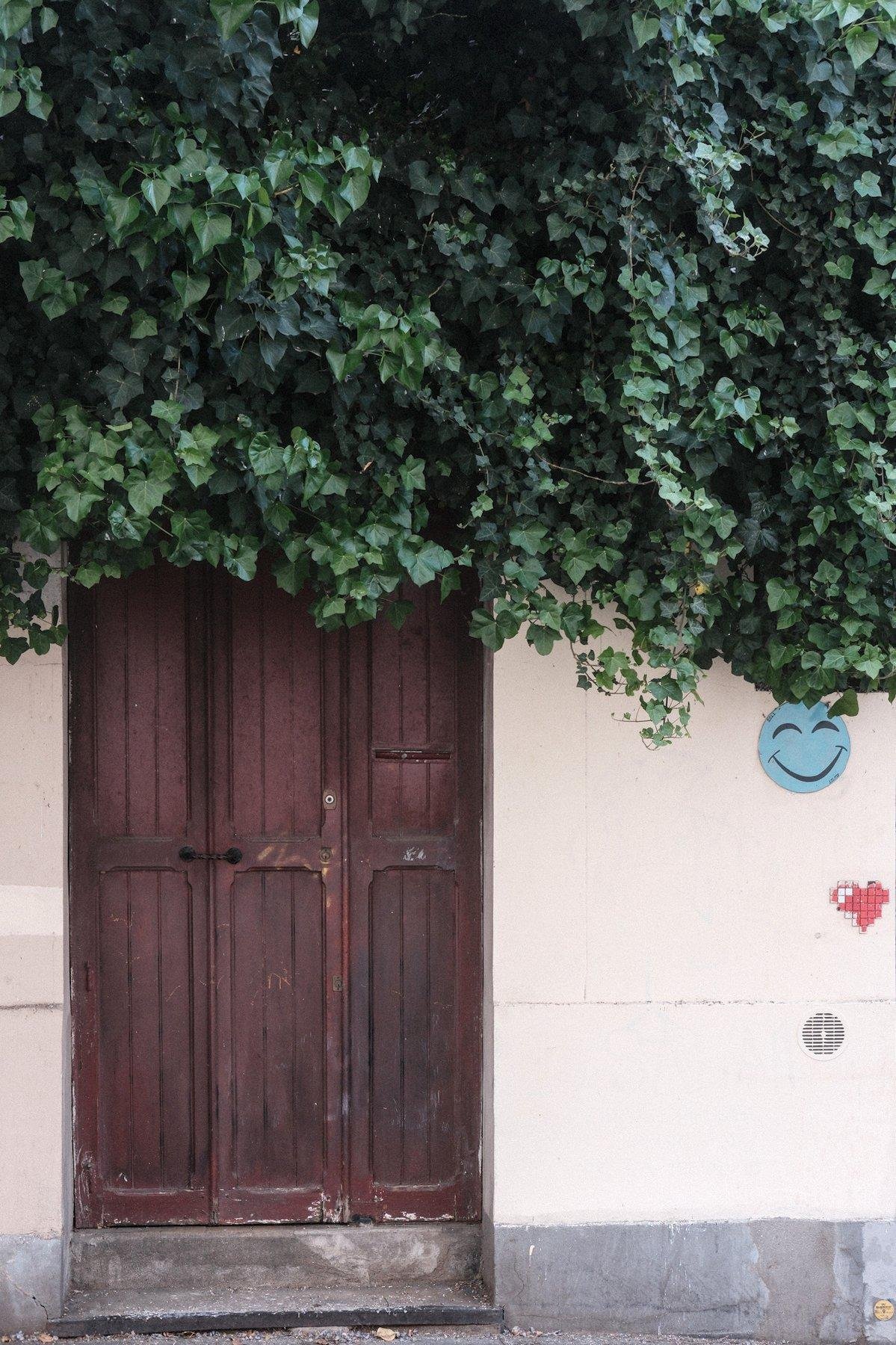 Photo verticale. Une porte en bois sombre, mais dont le sommet est recouvert de lierre. Il faut baisser la tête pour la passer. Sur le mur blanc à droite de la porte, des stickers sont collés, un smiley bleu et un petit cœur rouge