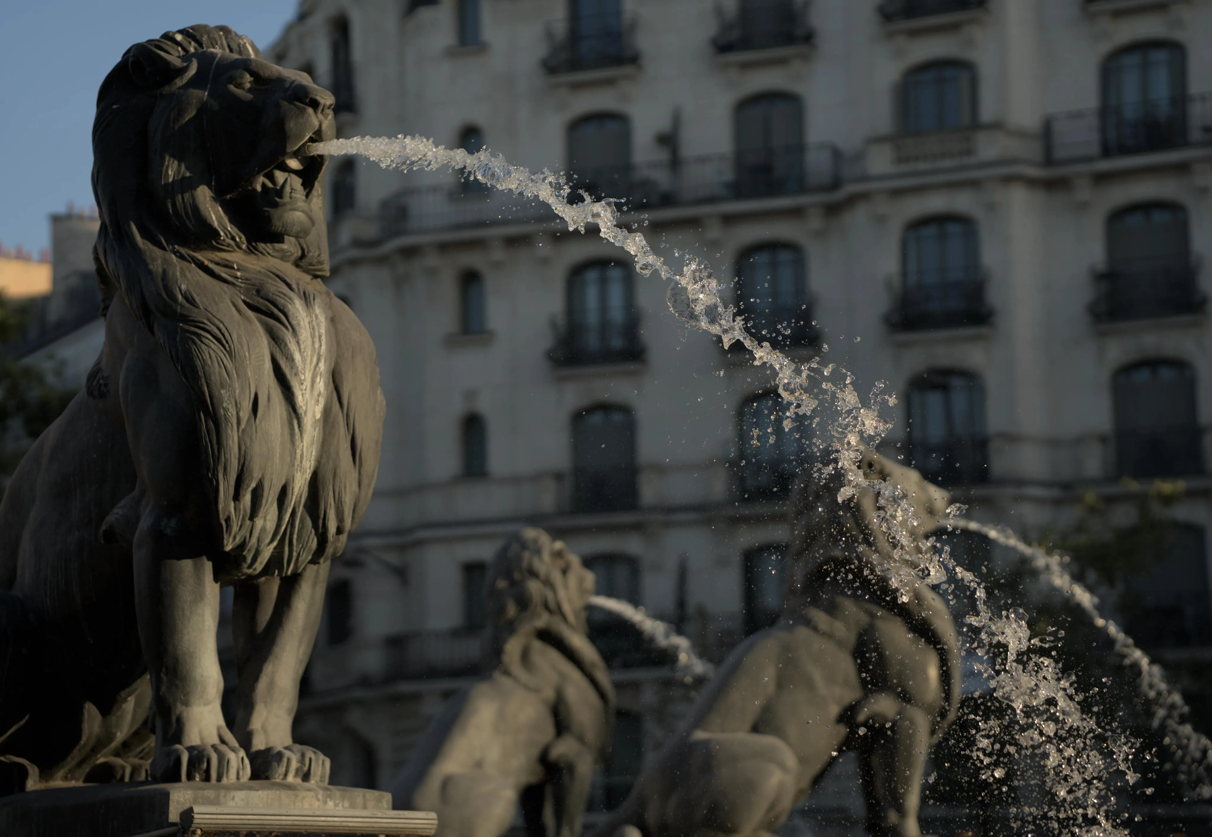 Photograph of statue fountains of sitting lions spouting water streams from their mouths. One foremost lion statue is facing three quarters towards the right of the image. Two other, further away, are facing away from the camera. The water stream coming out of the lion's mouth is clear and detailed with small droplets visible. Yellow-orange sunset light falls on the torso of the foremost lion and the backs of the others. In the background, 19th-century Parisian buildings are in the shade.