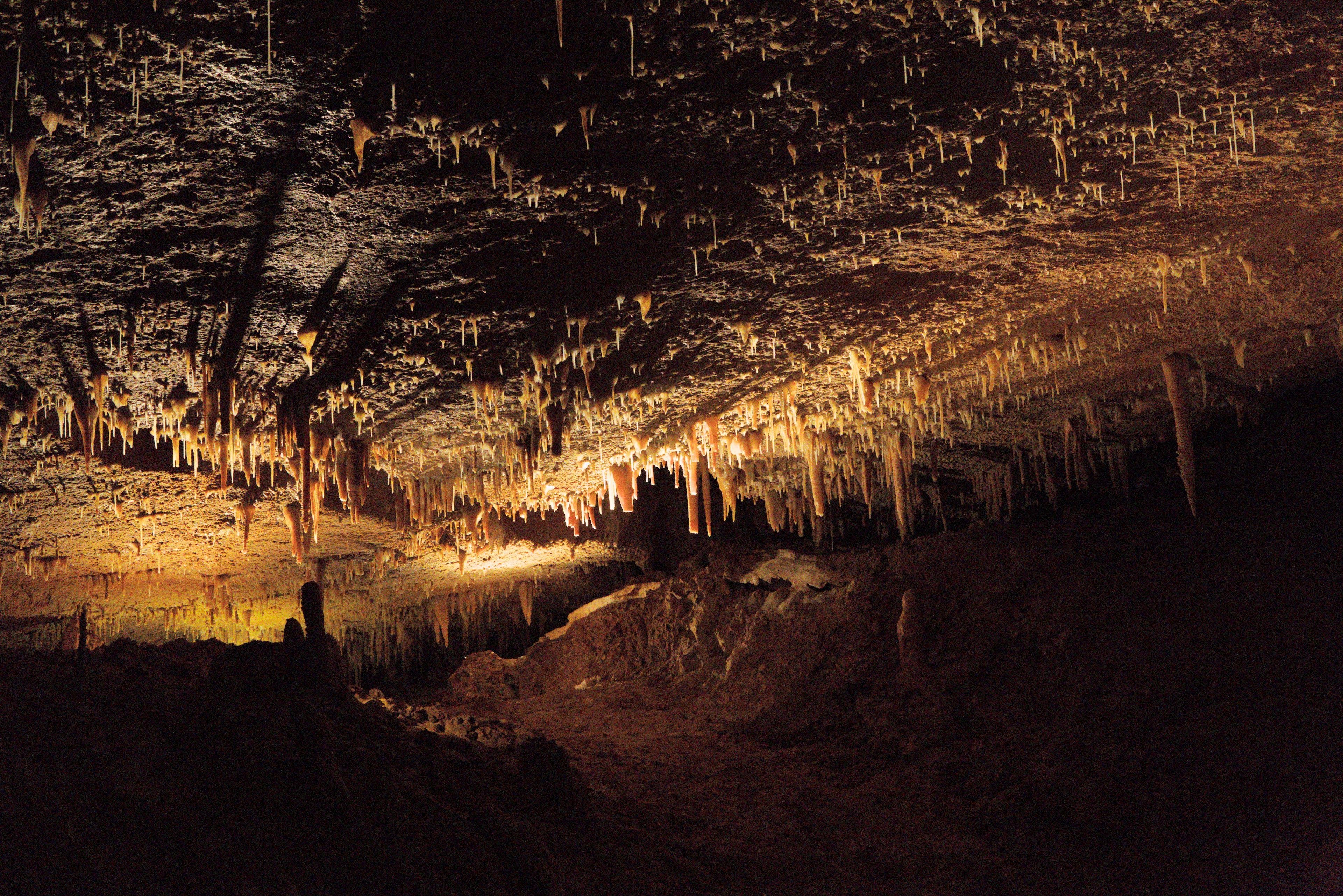 Photo de petites formation rocheuses en forme de petit piques pendant du plafond, avec une lumière orangée rasante éclairant le tout, donnant beaucoup d’ombres longues