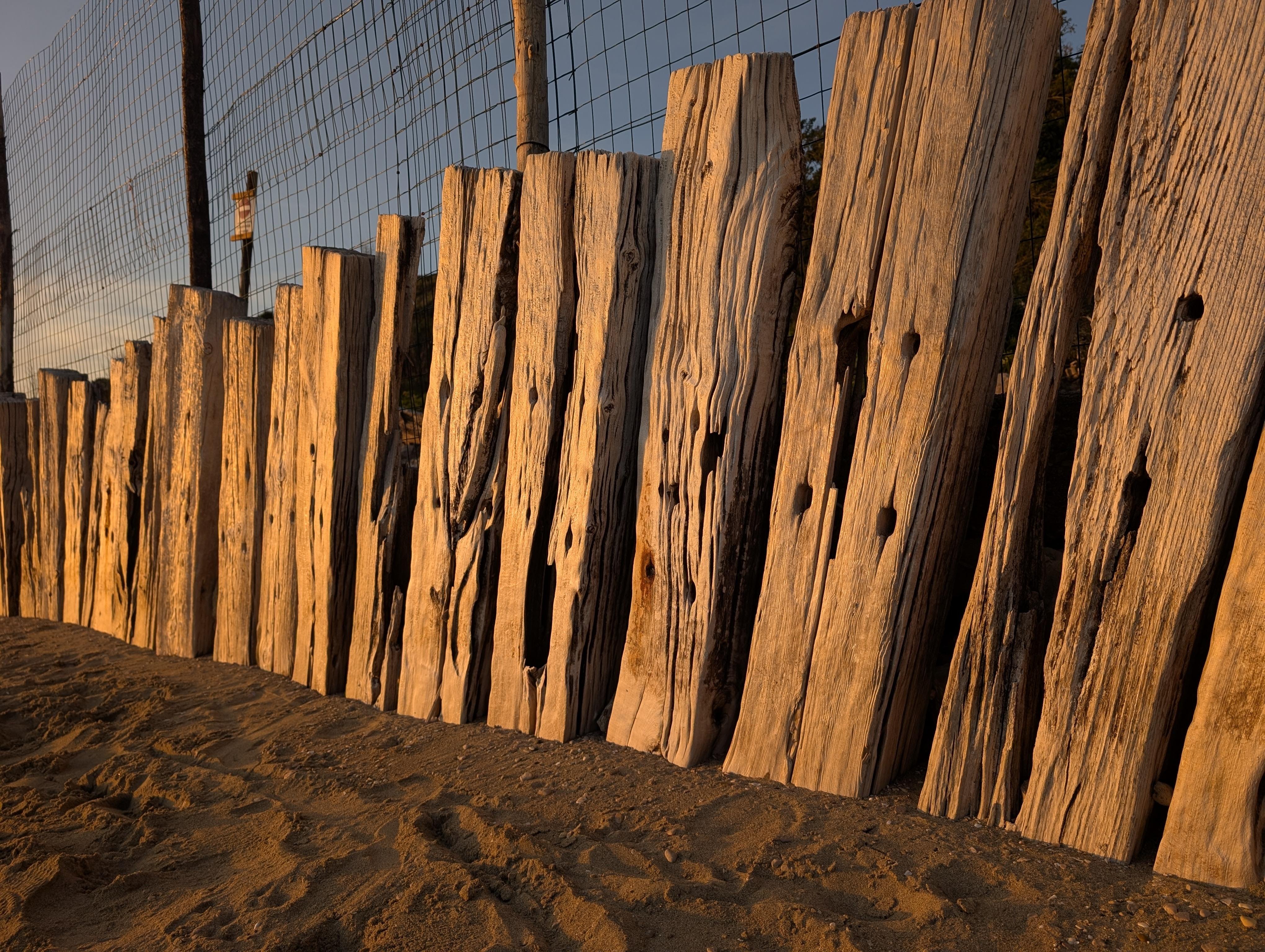 The image shows a rustic wooden fence made of weathered wooden planks. The planks are standing vertically, with a natural, rough texture that suggests they have been exposed to the elements. The fence is positioned on sandy ground, possibly at a beach or a coastal area. A wire mesh fence is visible behind the wooden planks. The lighting suggests that the photo was taken during golden hour, giving the wood a warm glow.