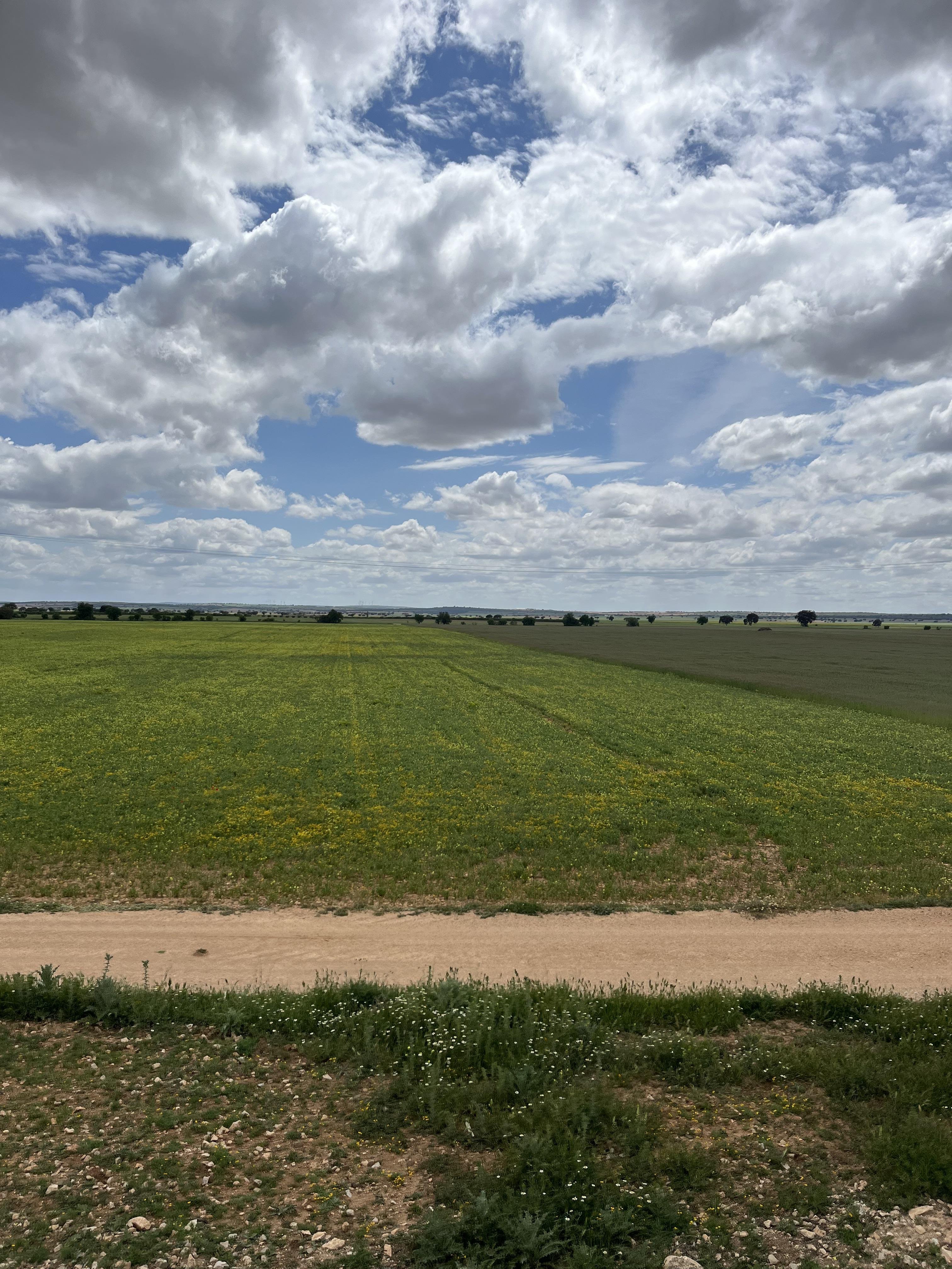 This image shows a vast landscape with fields stretching out under a cloudy sky. There is a dirt path running between the foreground and the fields. The sky features large, fluffy clouds with patches of blue showing through. The fields are green and appear to be agricultural in use.