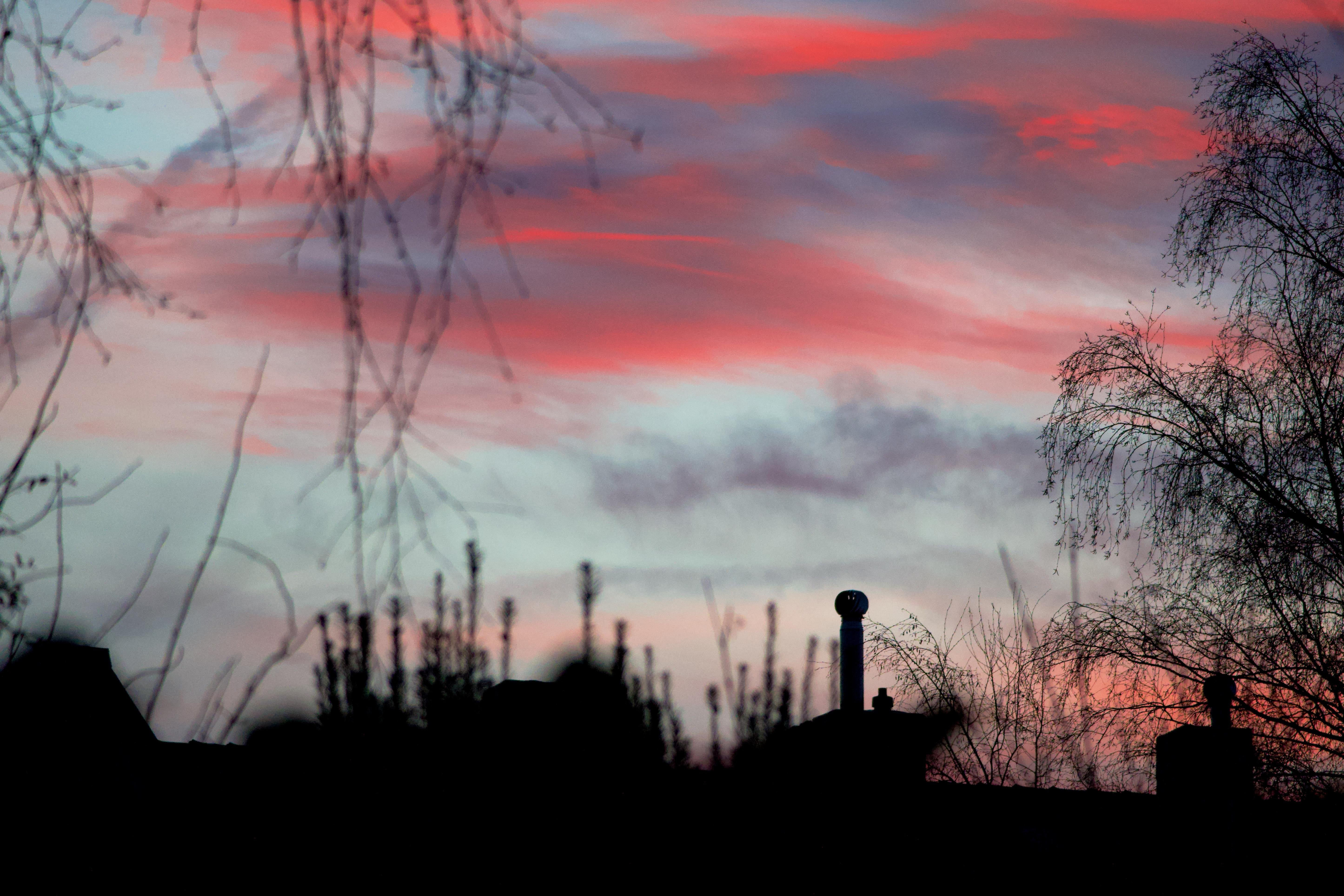 The image shows a silhouette of rooftops and trees against colorful clouds in the sky. The sky is filled with shades of pink, purple, and blue of a sunrise. The branches of trees are visible in the foreground, adding to the silhouette effect.