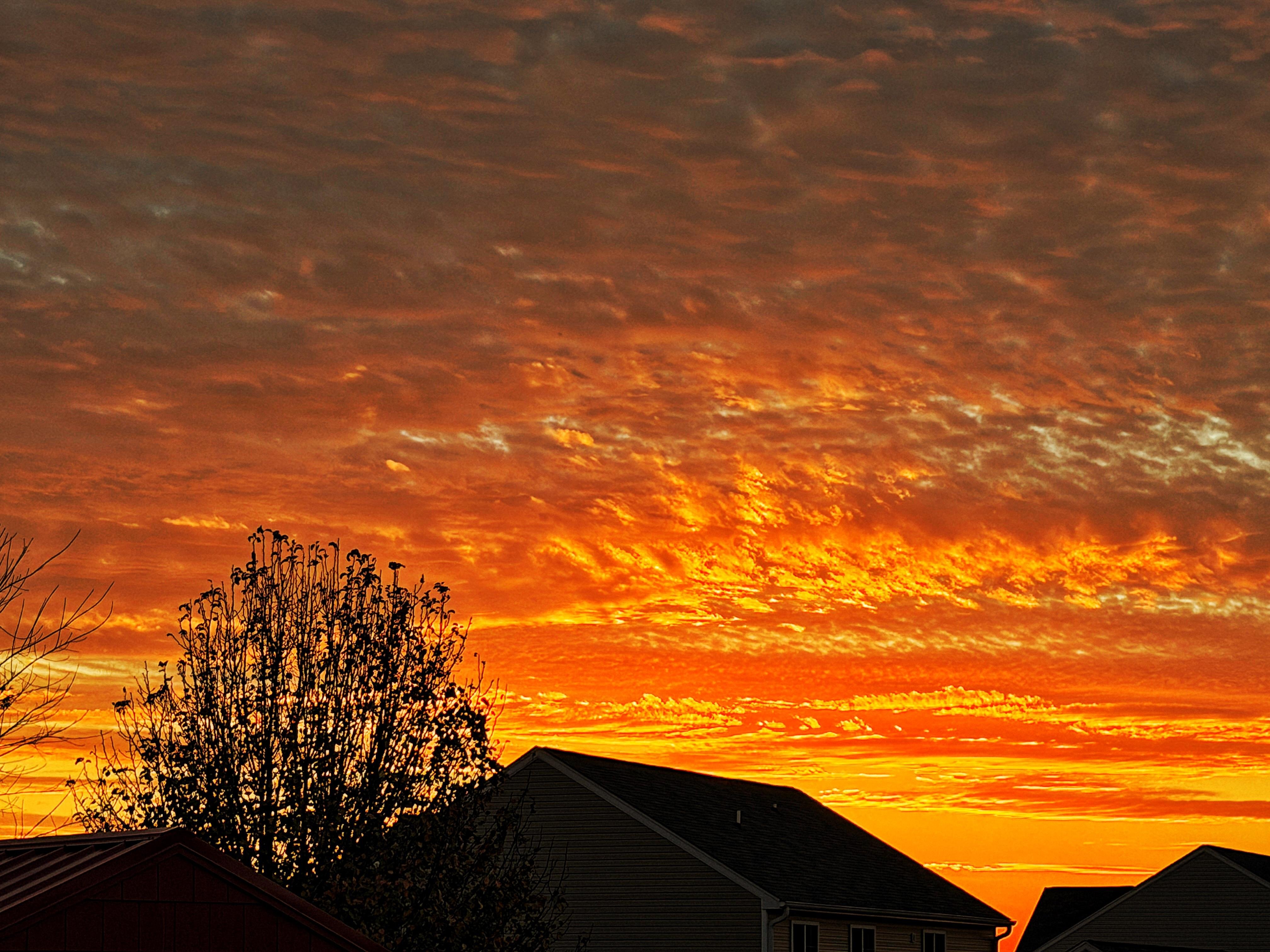 The image depicts a vibrant, fiery sunset over a suburban neighborhood. The sky is overwhelmingly orange and red, with a dense network of thin, wispy clouds stretching across the horizon. Silhouetted against the bright sky are the rooftops of several houses, their shapes creating a jagged, dark outline. A bare tree with intricate branches is prominently featured in the foreground on the left side of the image, further contributing to the silhouette effect. The overall composition emphasizes the dramatic contrast between the warm, glowing sky and the dark, static structures below.