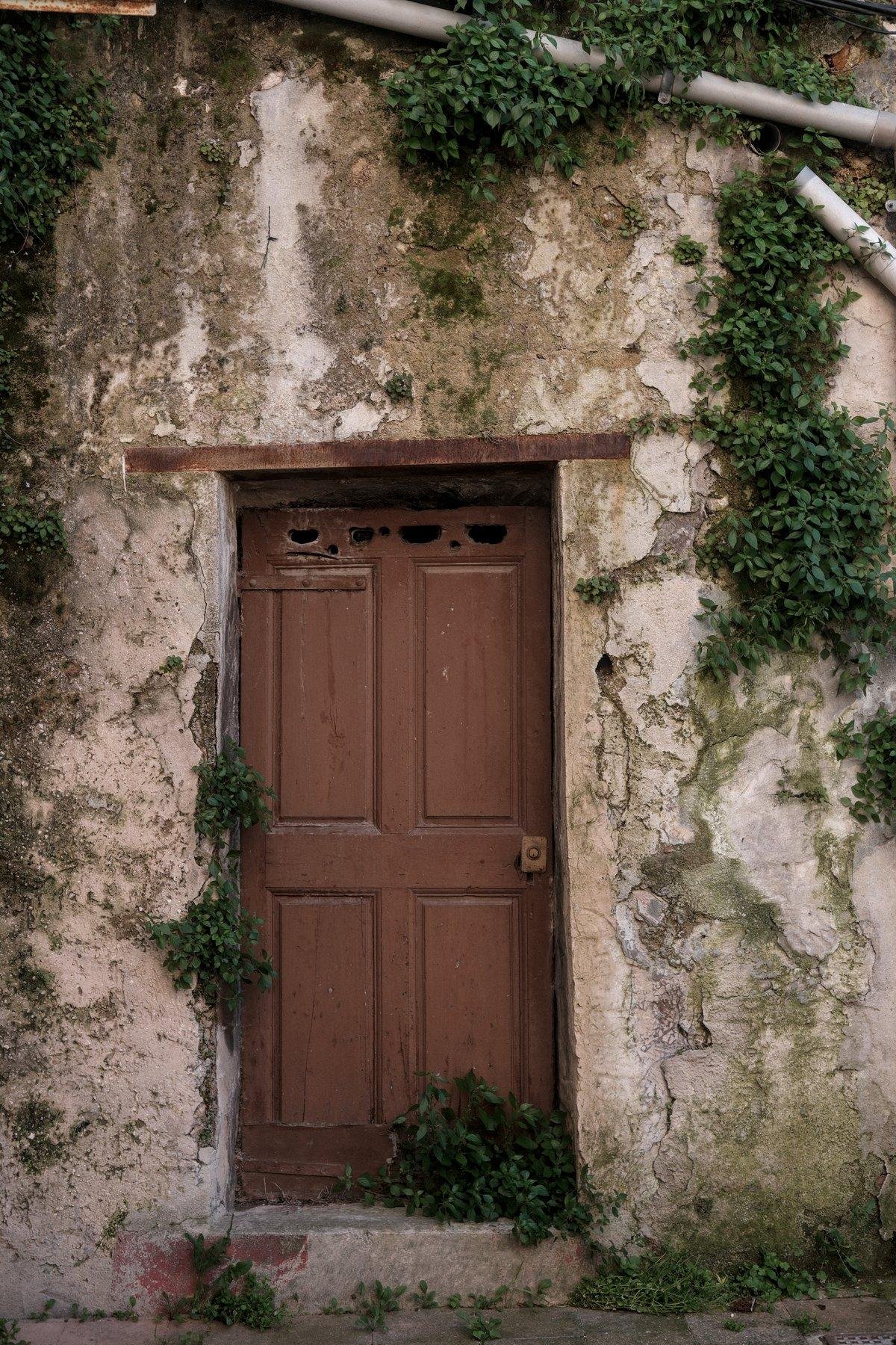 Photo verticale. Une porte en bois peinte en marron, dans un mur avec des touffes de plantes qui poussent un peu partout, dont notamment au pied de la porte
