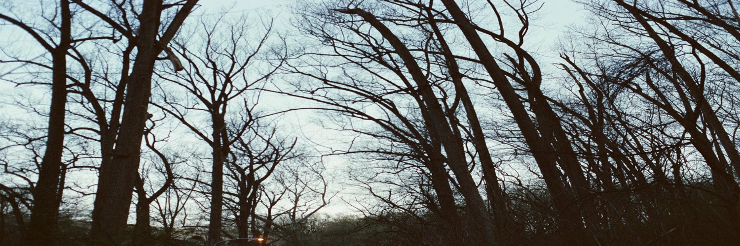 header profile