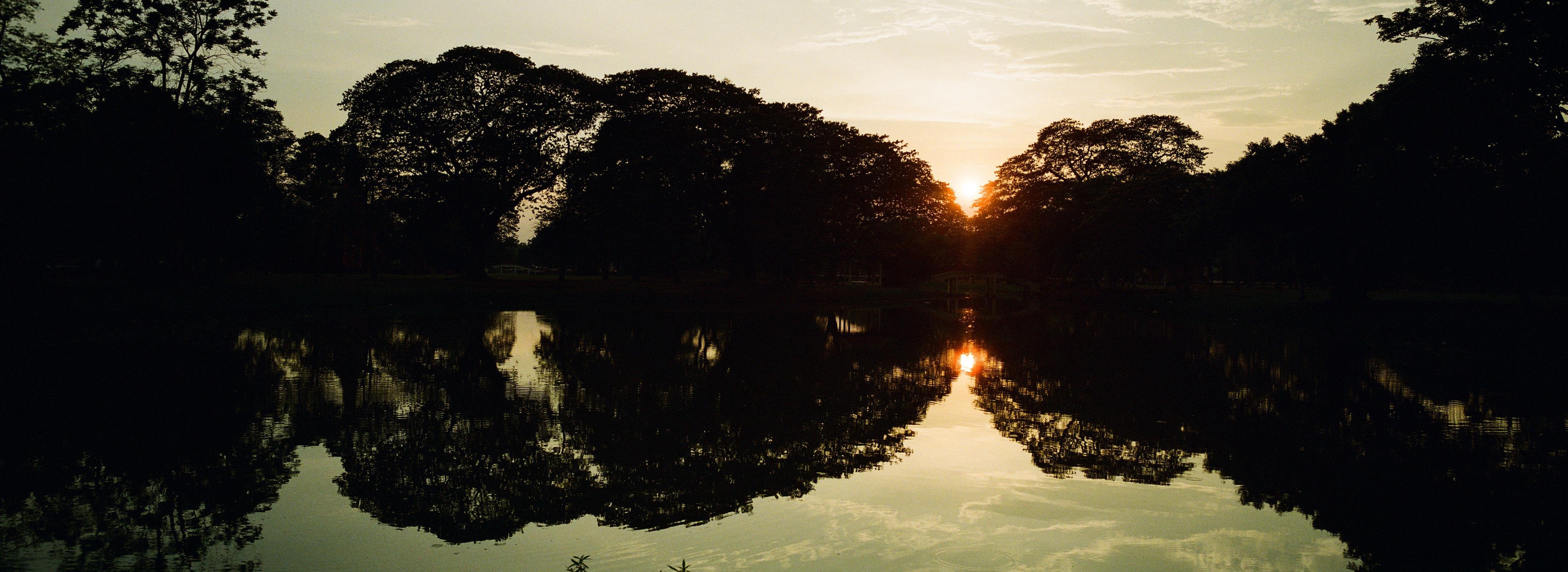 Panoramic horizontal photo of the sun setting behind a line of silhouetted trees, reflected symmetrically in a calm pound. The whole picture has a greenish tint