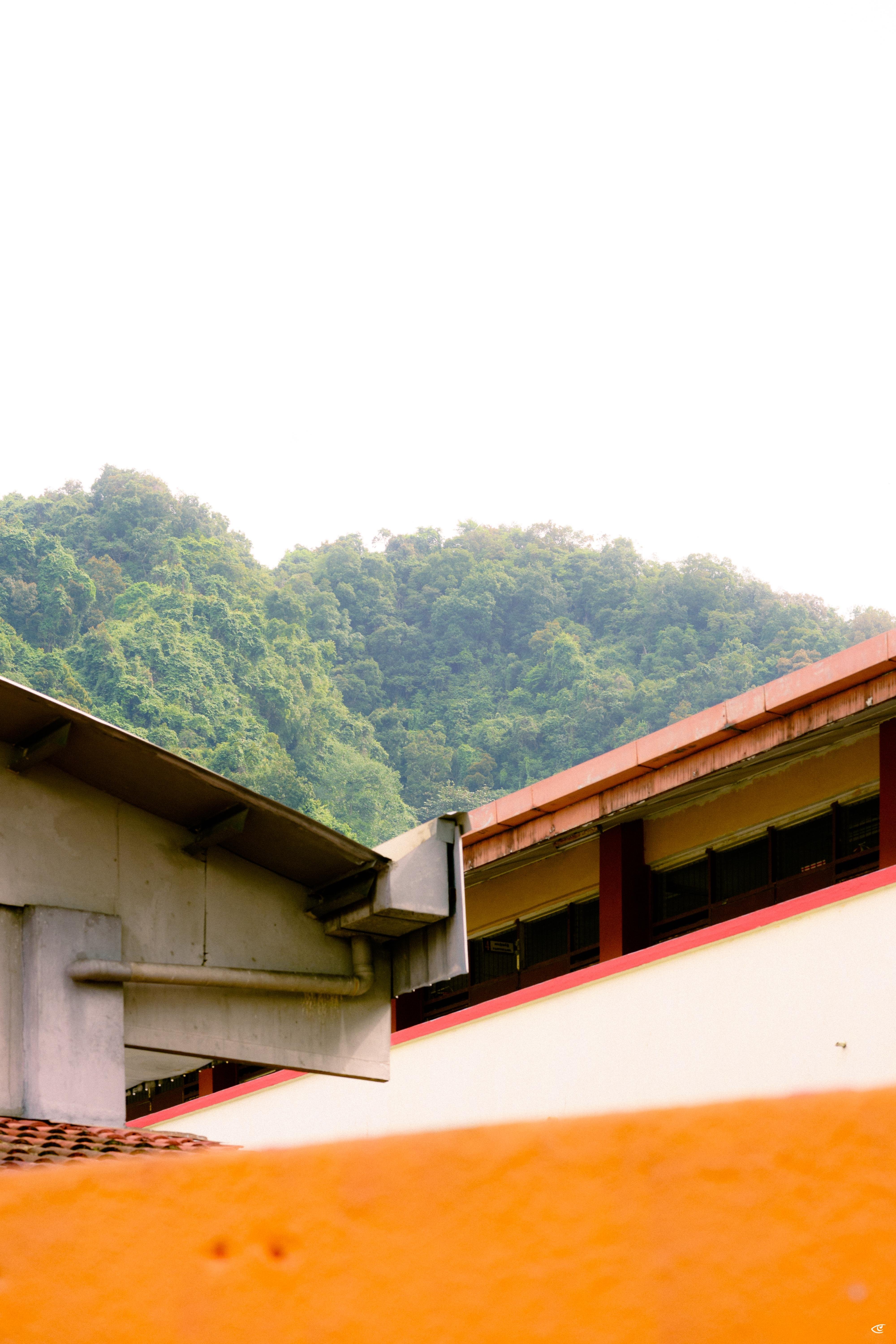 Building rooftops and a concrete overhang in the foreground, with a green, tree-covered hillside rising behind under a bright, overexposed sky.