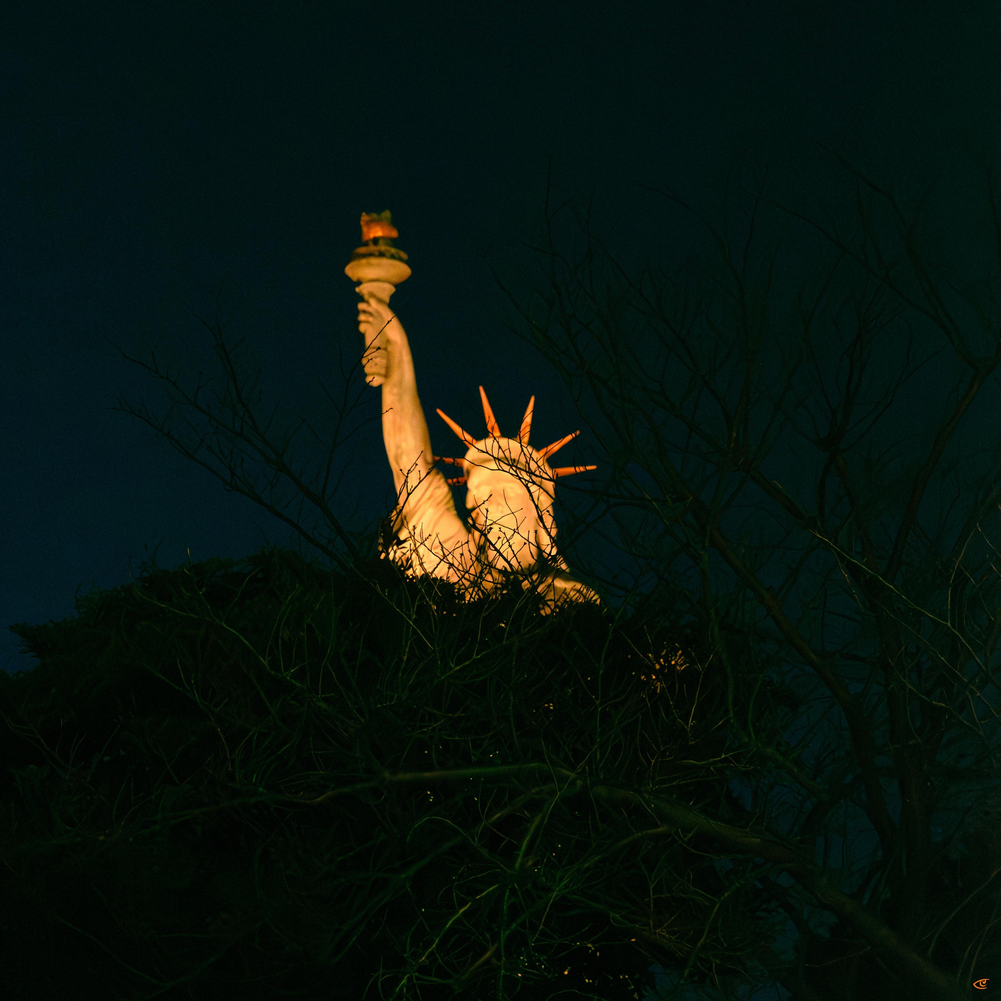 Upper portion of the Statue of Liberty at night, lit in warm light with the raised torch and crown visible above dark tree branches against a dark sky.