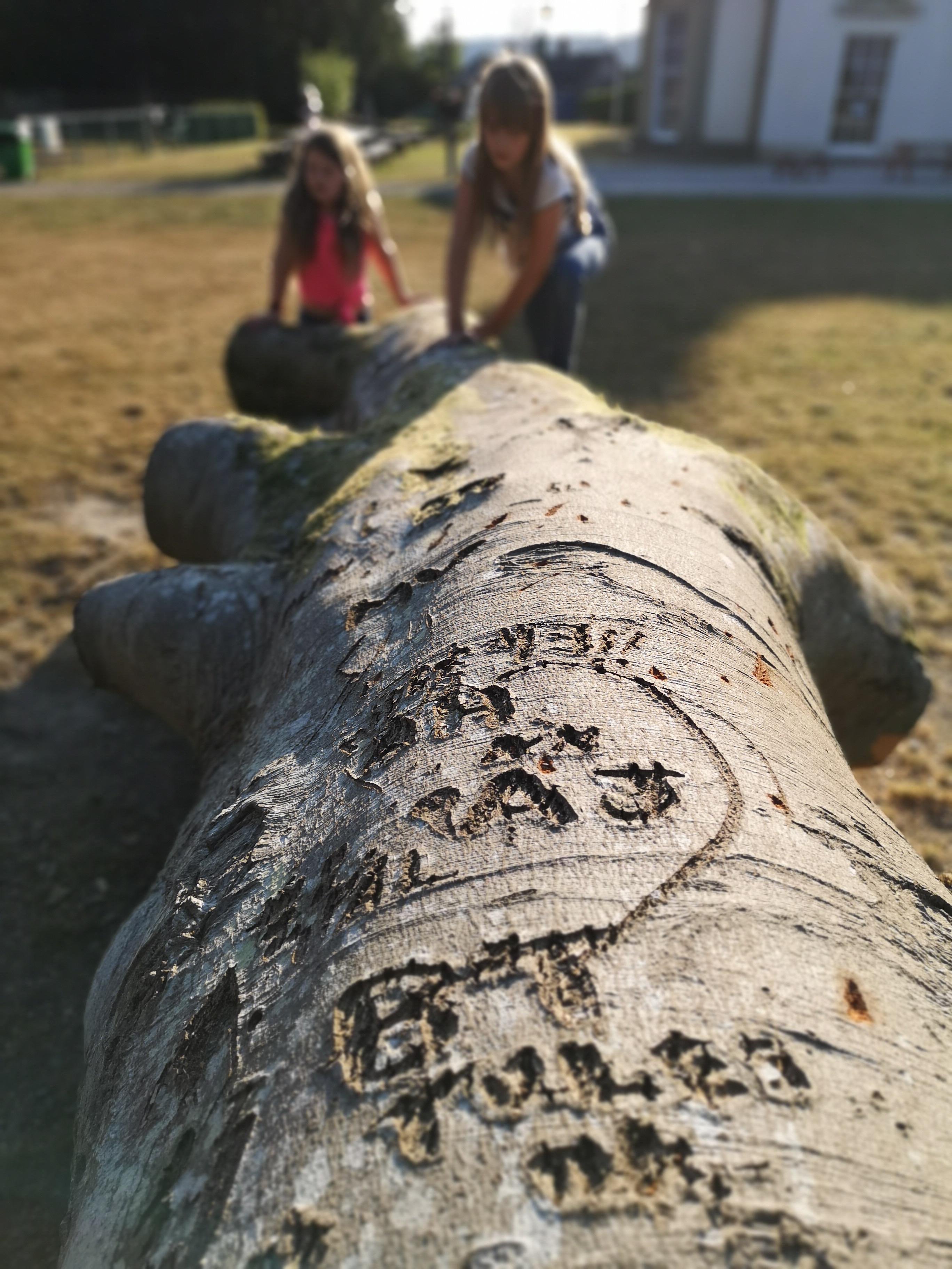 Low-angle view along a weathered fallen tree trunk with carved markings in sharp focus, while two children in the background push on the log in a grassy yard near a building.
