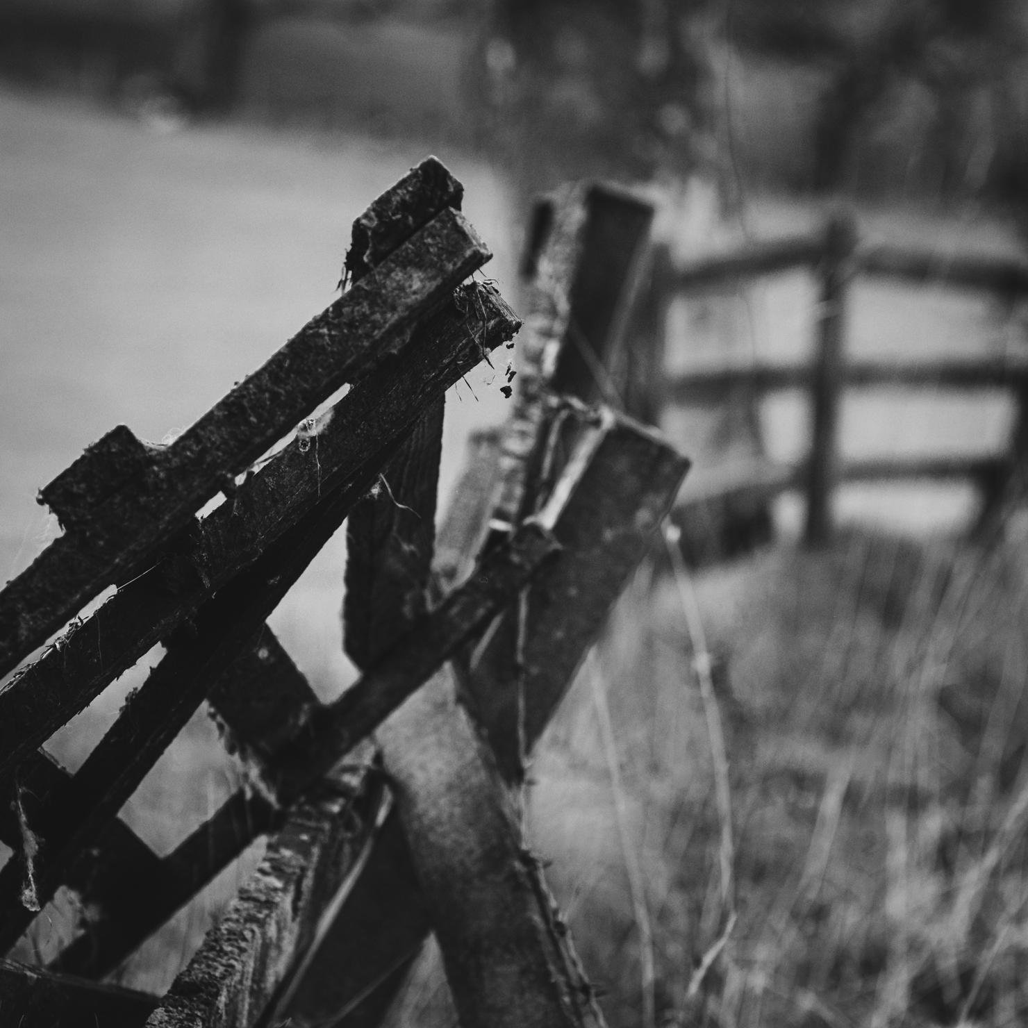 A weathered wooden fence in black and white, with barbed wire intertwined among the wood. There is a blurred grassy field in the background.
