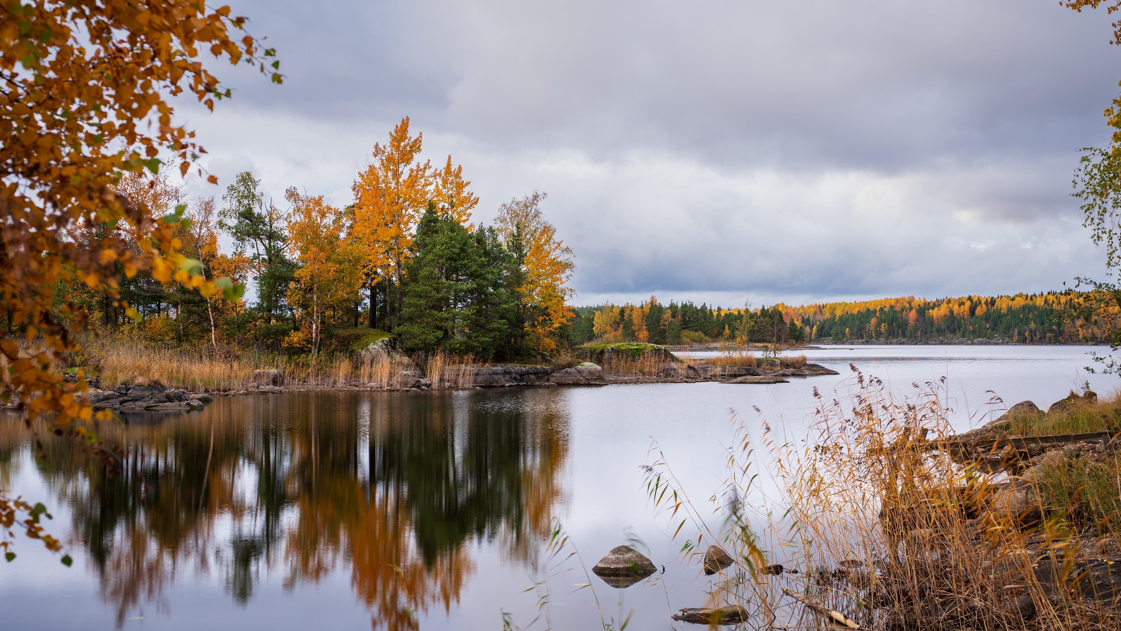 Calm lake reflecting trees with bright orange and green leaves, flanked by tall grasses. Overcast sky with thick clouds above. Rocky shoreline visible, creating a small inlet on the left. Autumn foliage dominates the landscape, adding vibrant color to the scene.